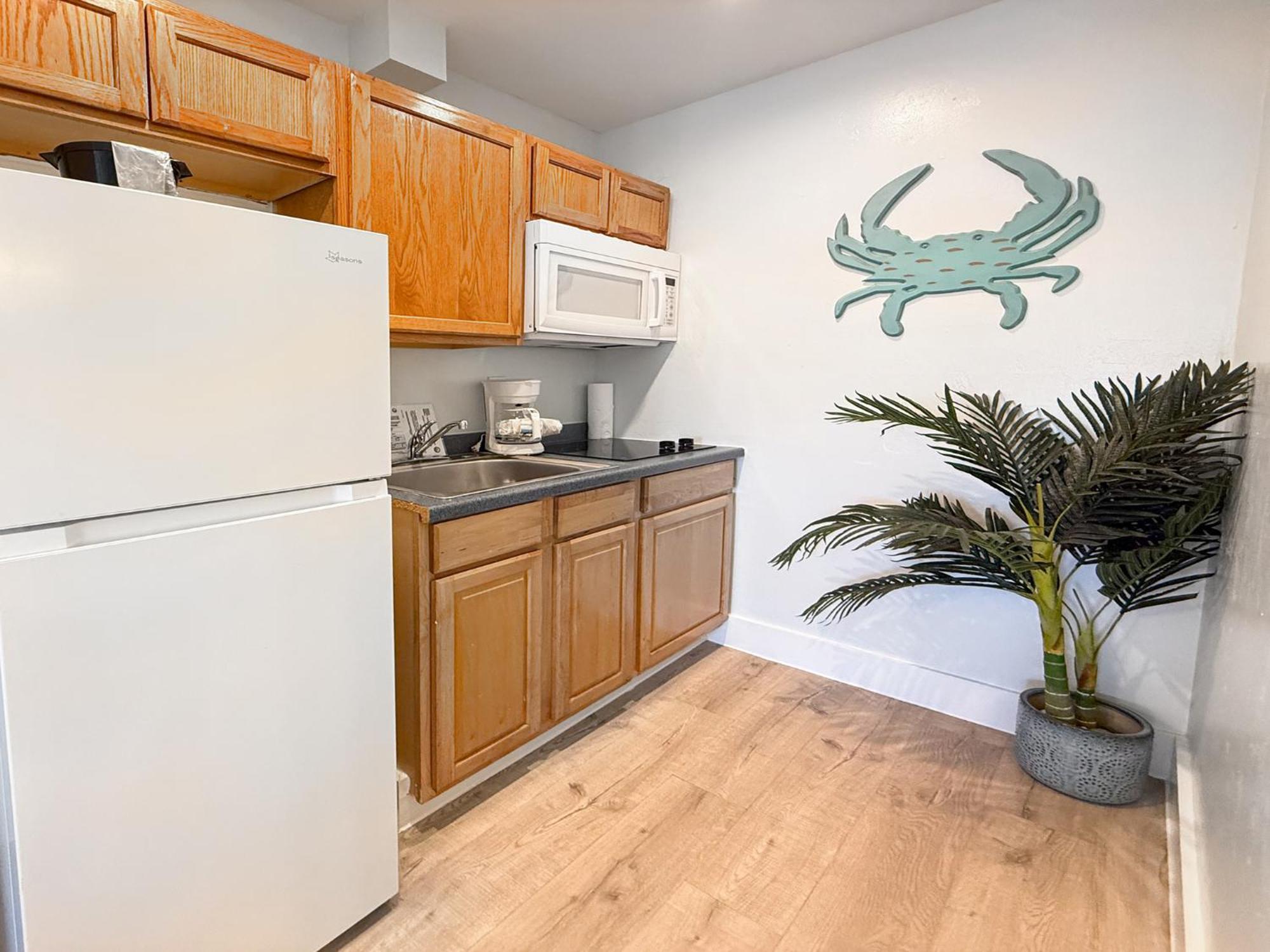 Deluxe Studio Suite