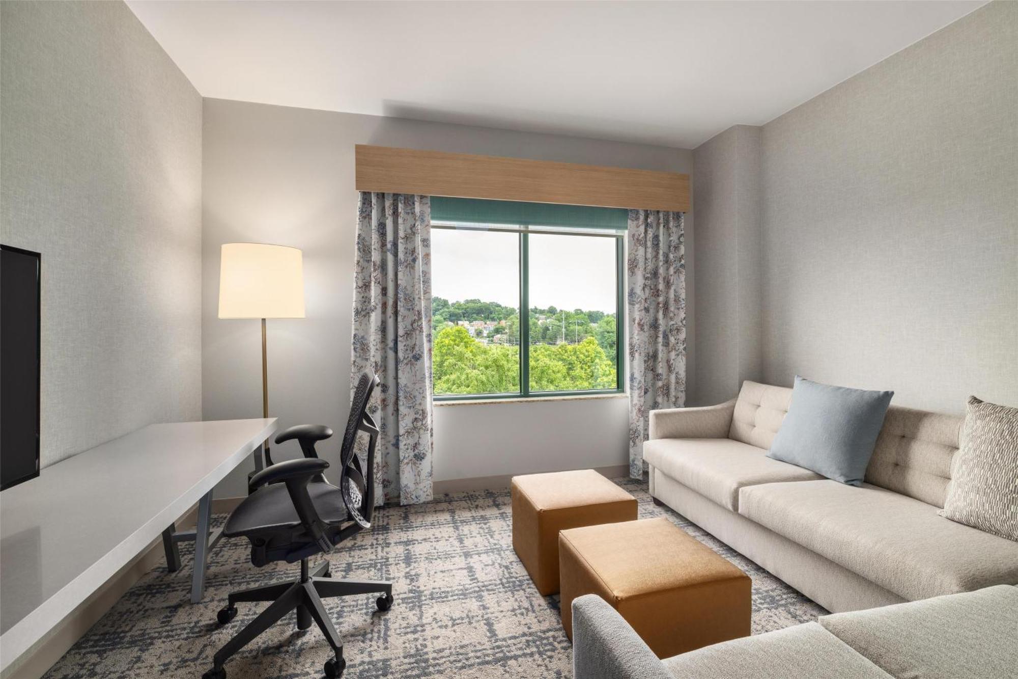 One-Bedroom King Suite
