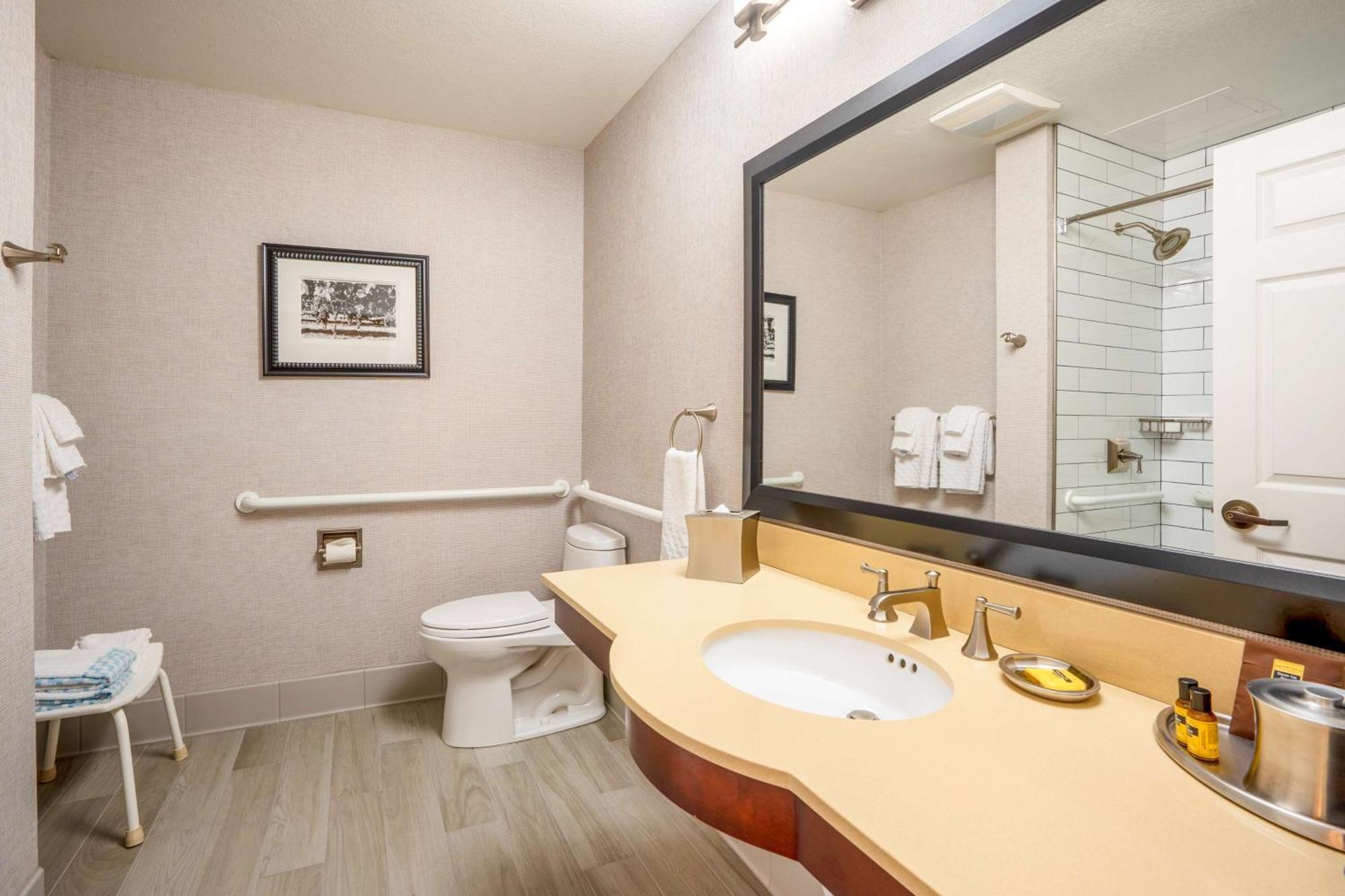 King Room Walk Shower Mobility Access