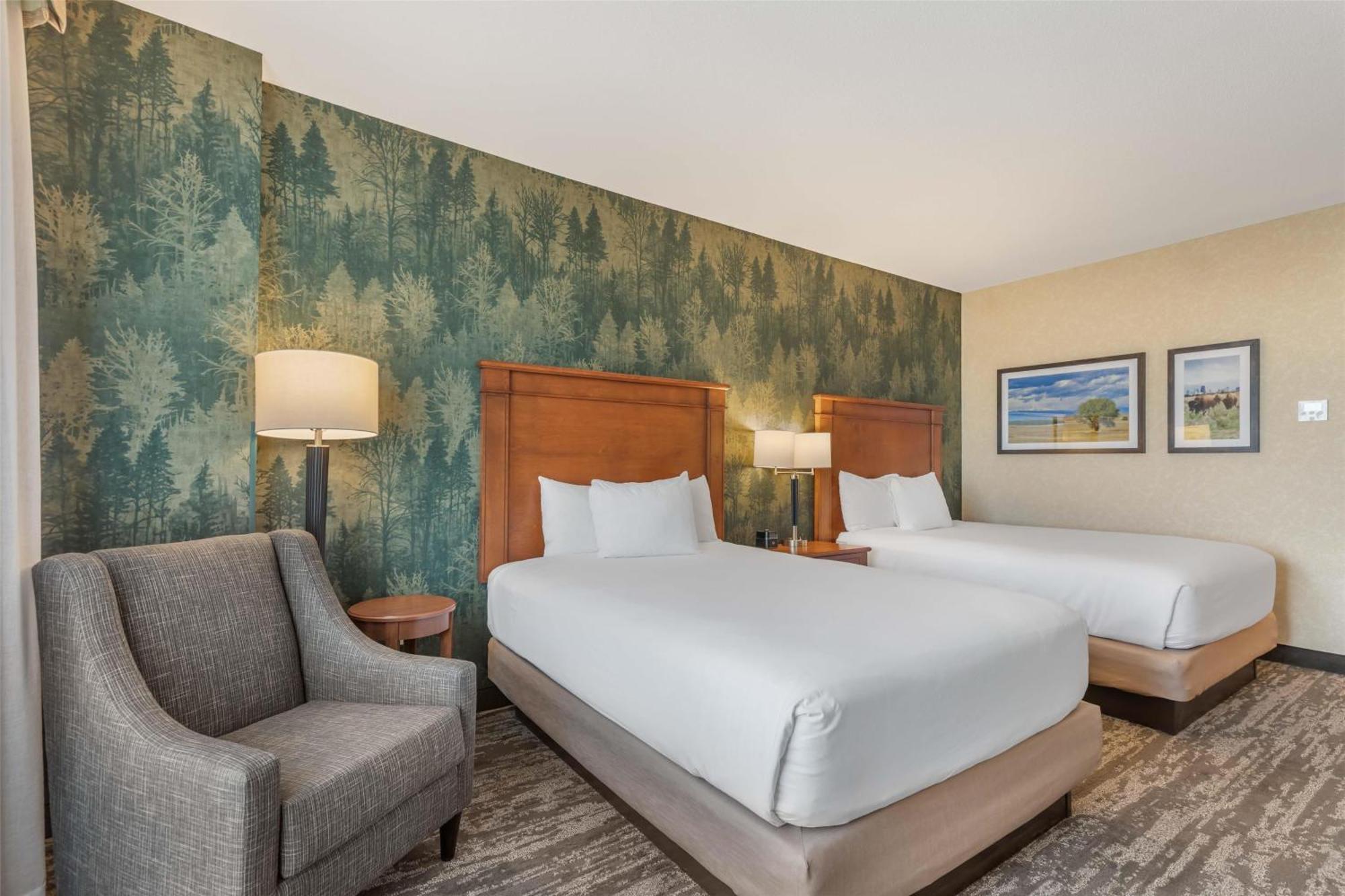 Deluxe Queen Room with Two Queen Beds - Hearing Accessible, Roll-in Shower