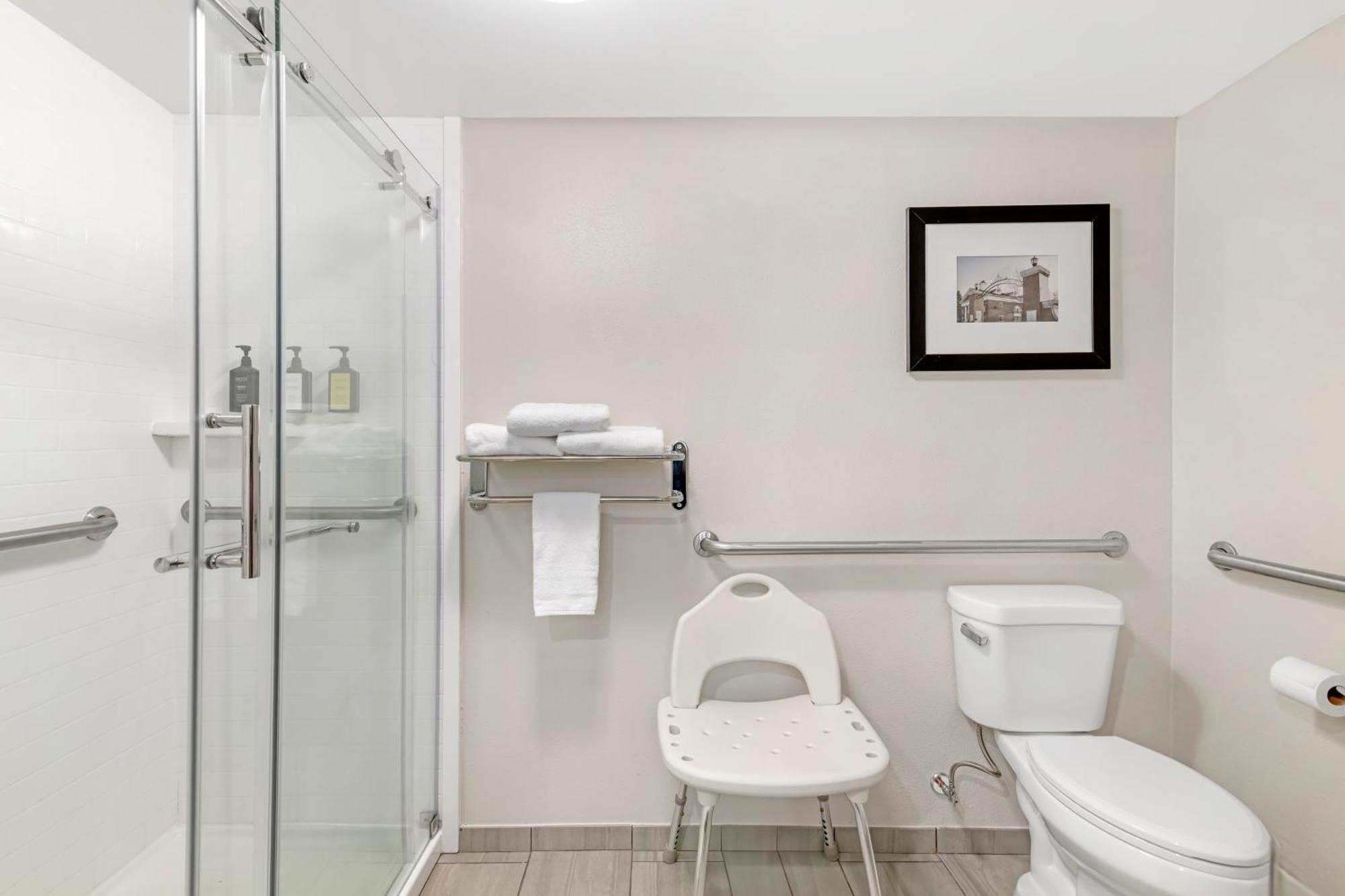 King Room - Disability Access Pet Friendly,1703552535:JPEG