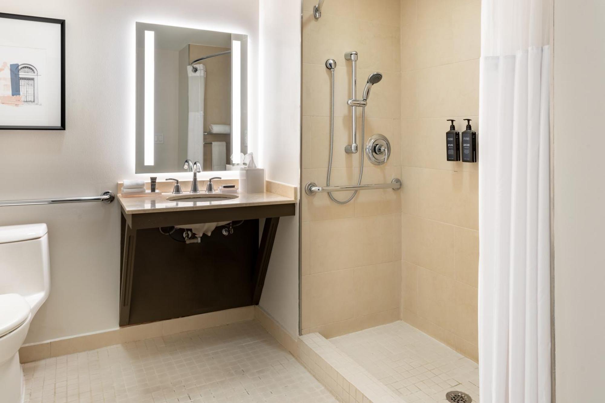 Traditional King Room City View Bathtub Mobility Hearing Accessible