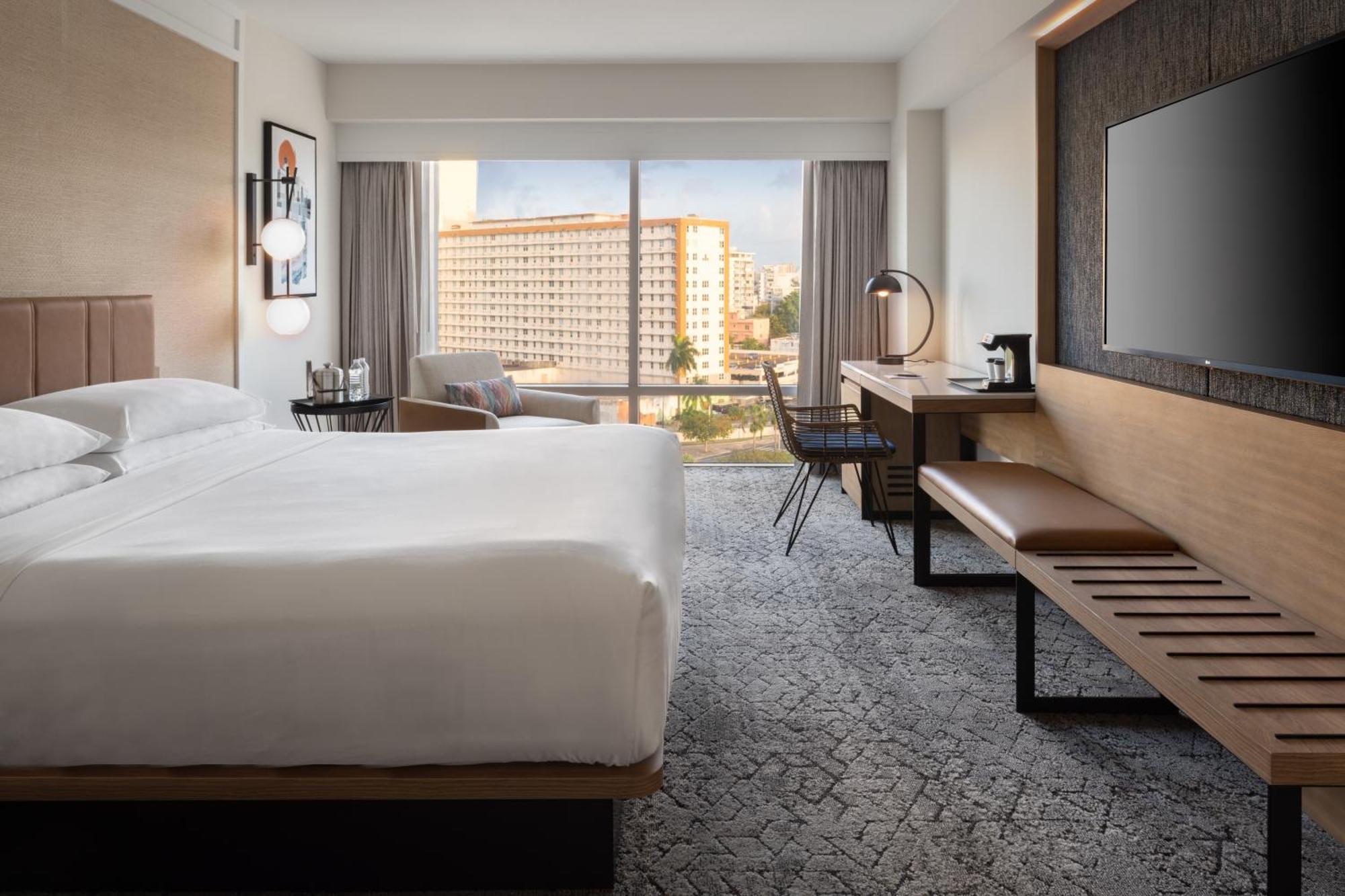 Traditional King Room City View Bathtub Mobility Hearing Accessible