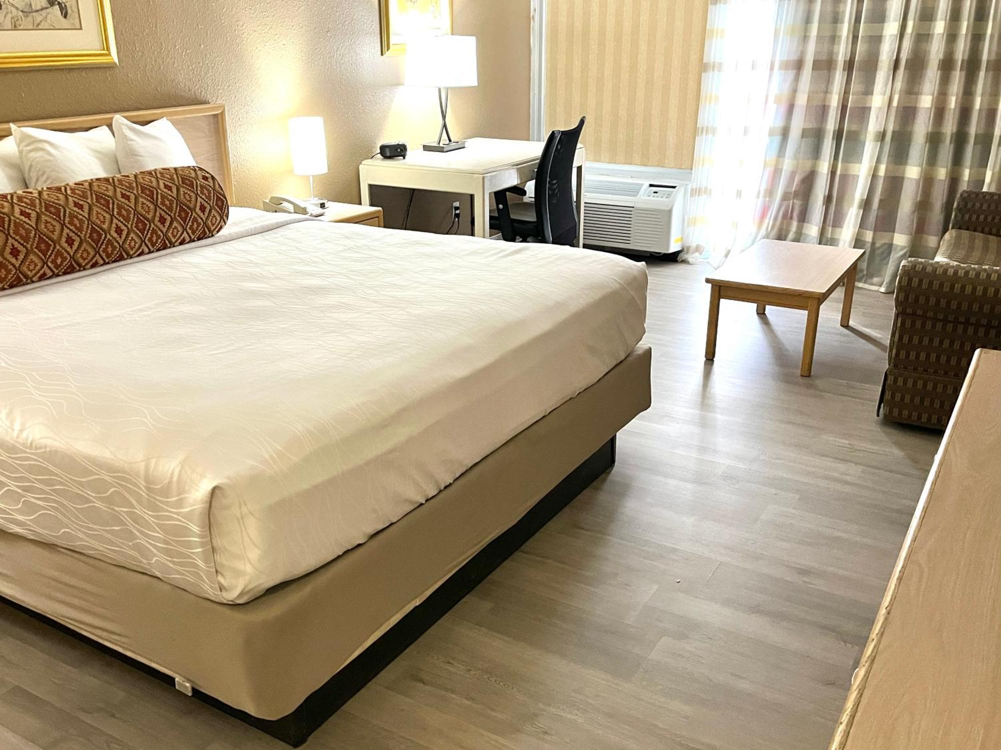 King Room - Non-Smoking,1703557511:JPEG