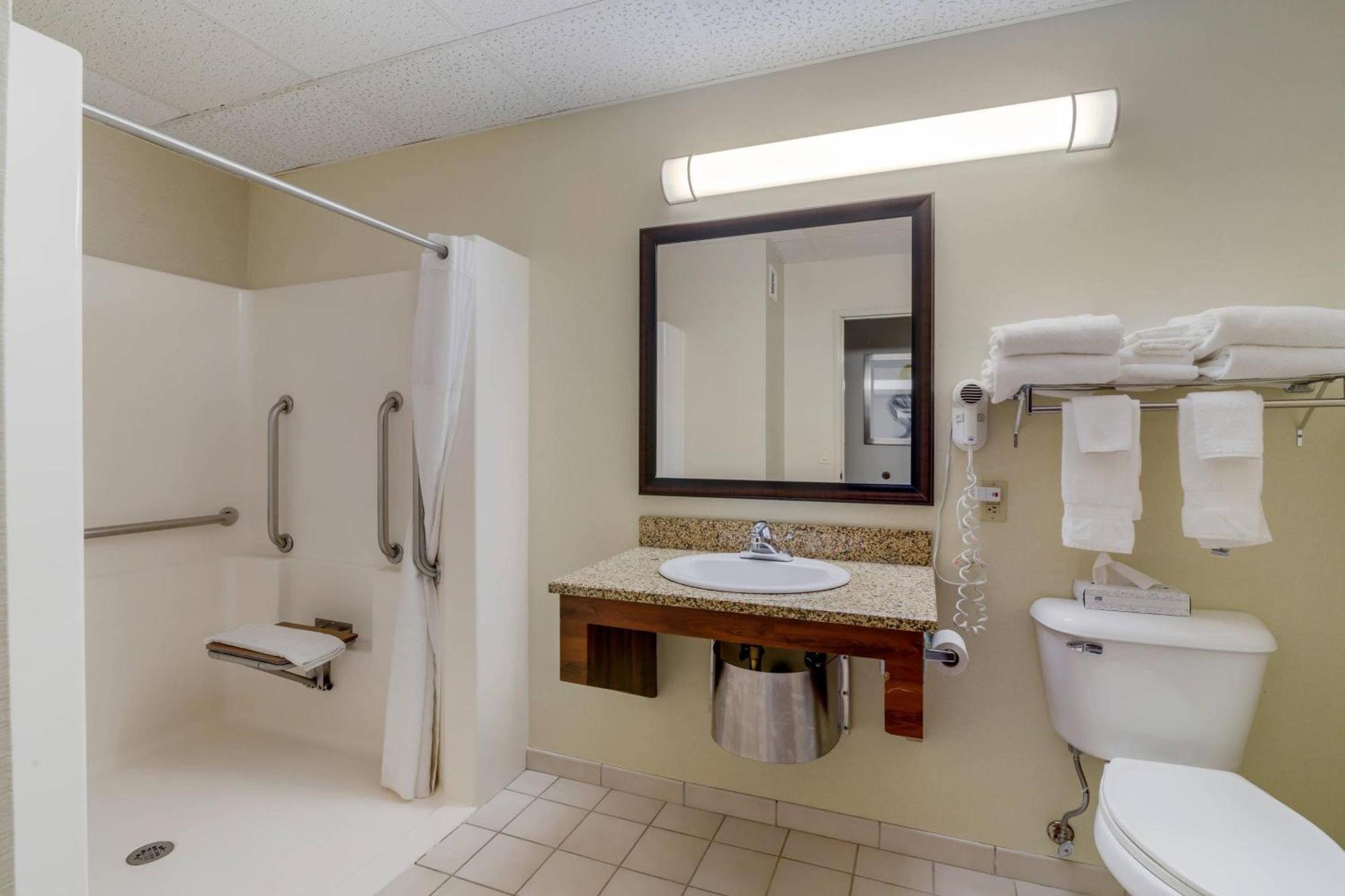 King Room Roll Shower Accessible or Non-Smoking