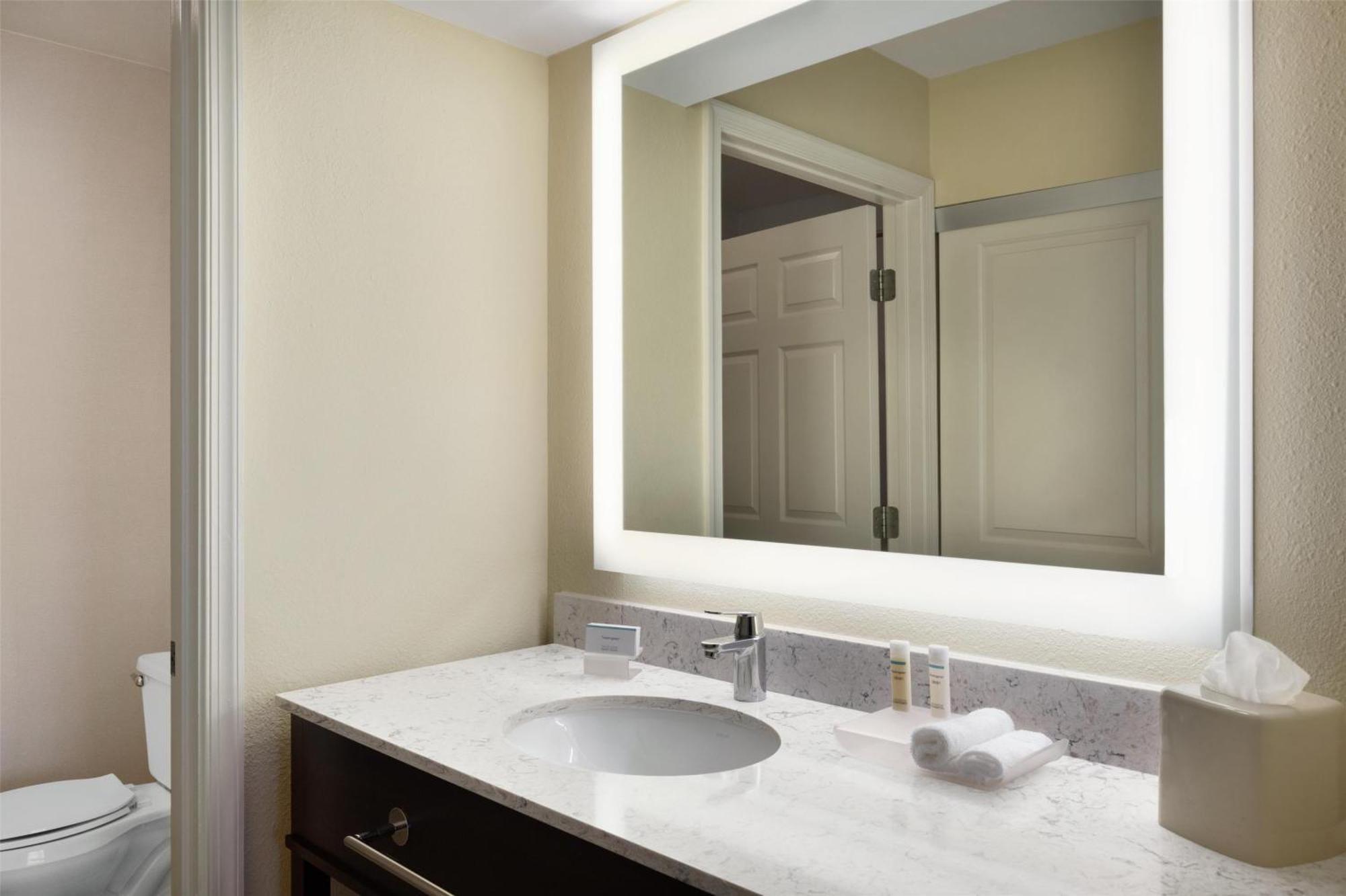 One-Bedroom King Suite Non-Smoking