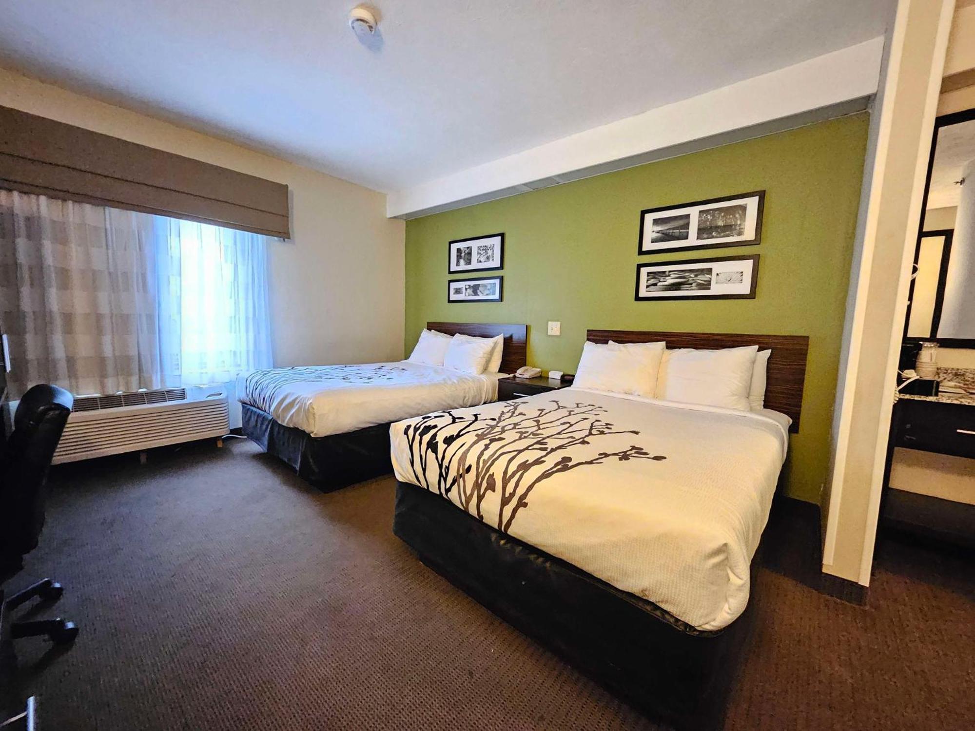 Double Room Two Double Beds