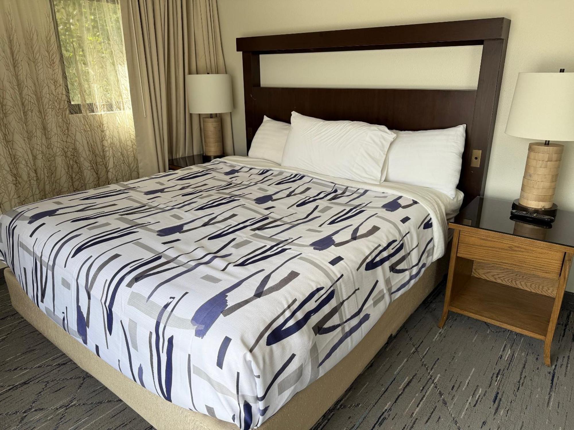 One-Bedroom Suite