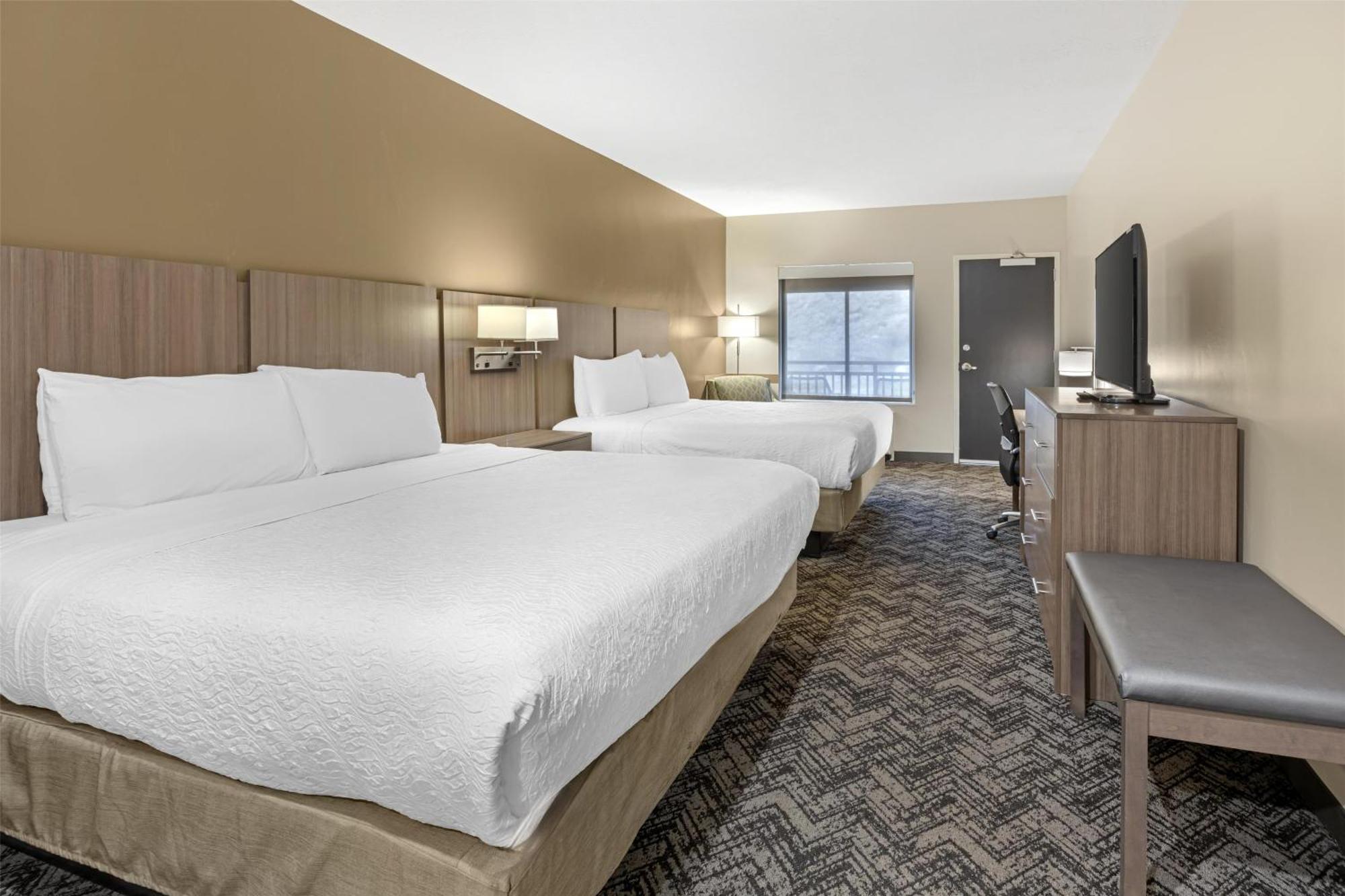 King Room Two King Beds