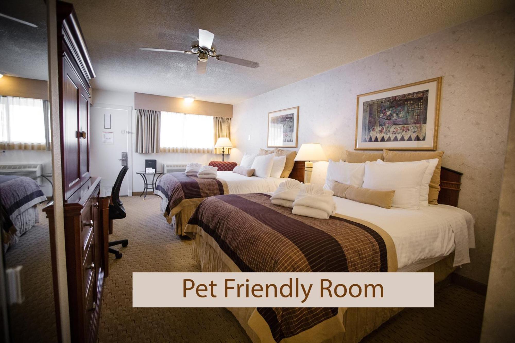 Pet Friendly Queen Room Two Queen Beds River Walk Building