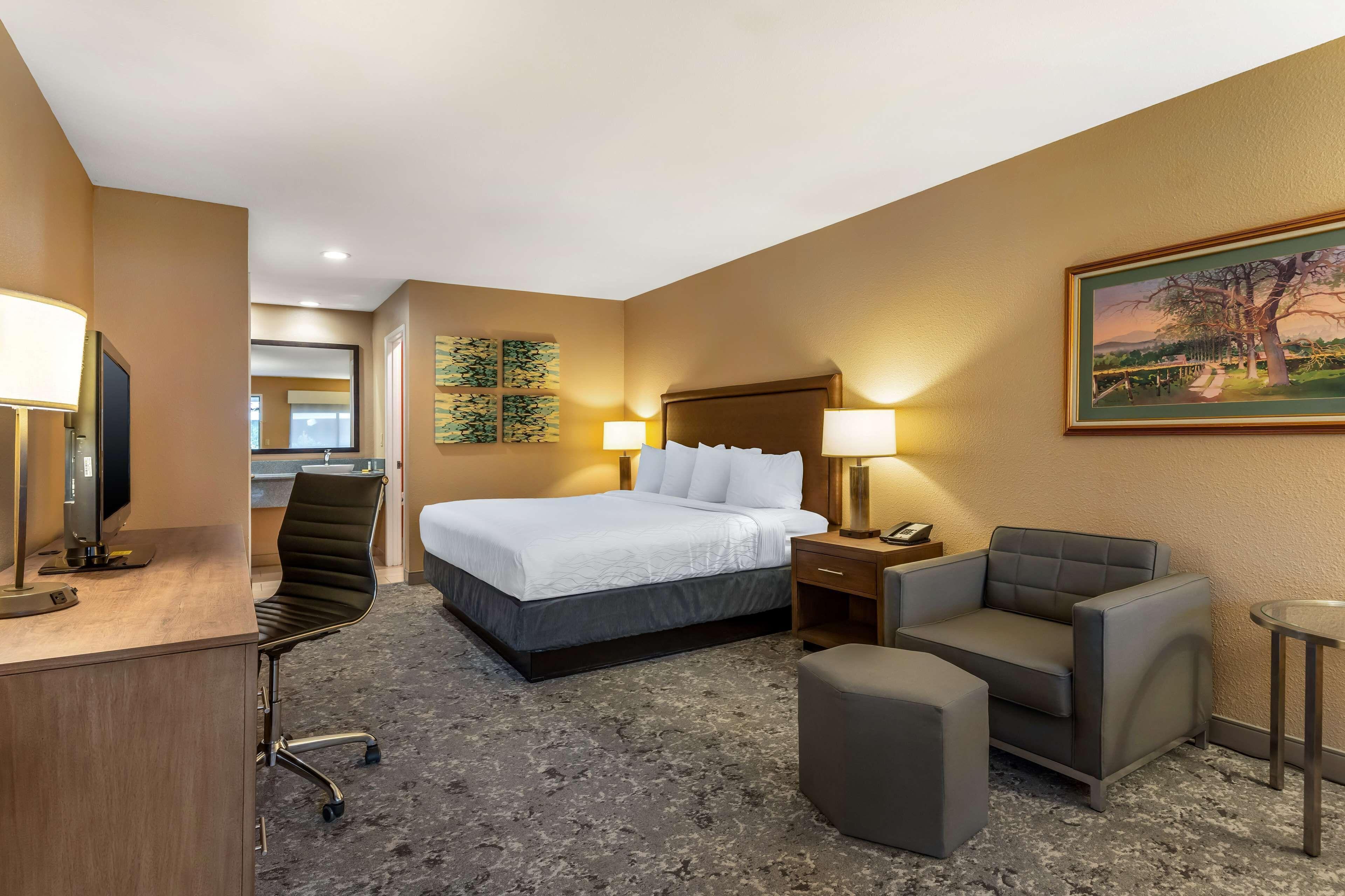 Junior King Suite with Sofa Bed and Balcony - Non-Smoking