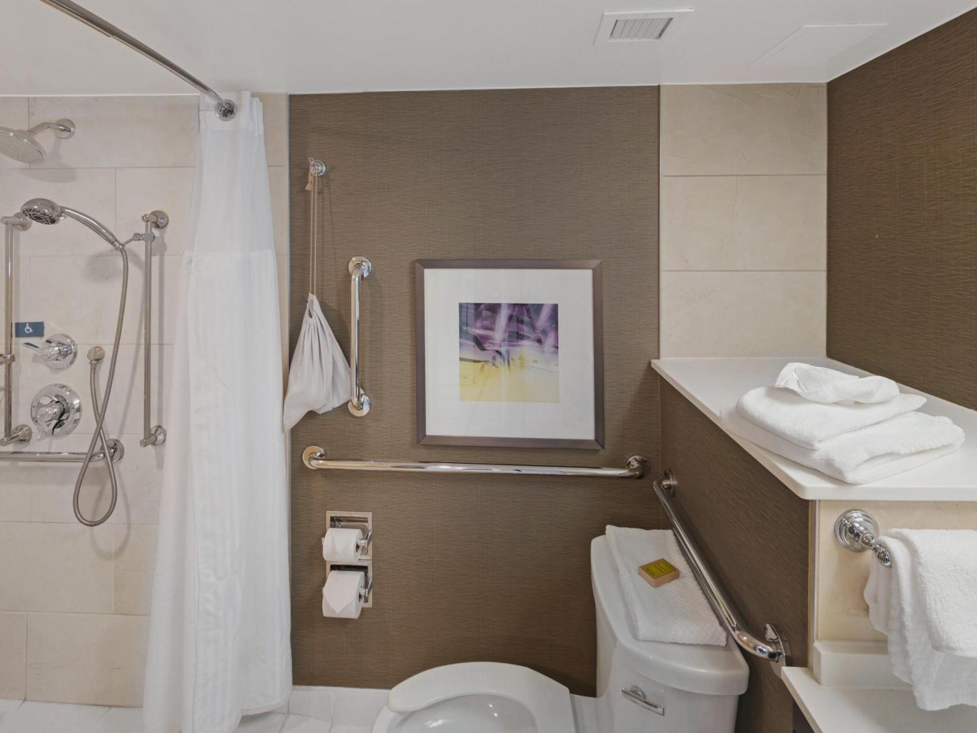 King Room Roll Shower Mobility or Hearing Accessible