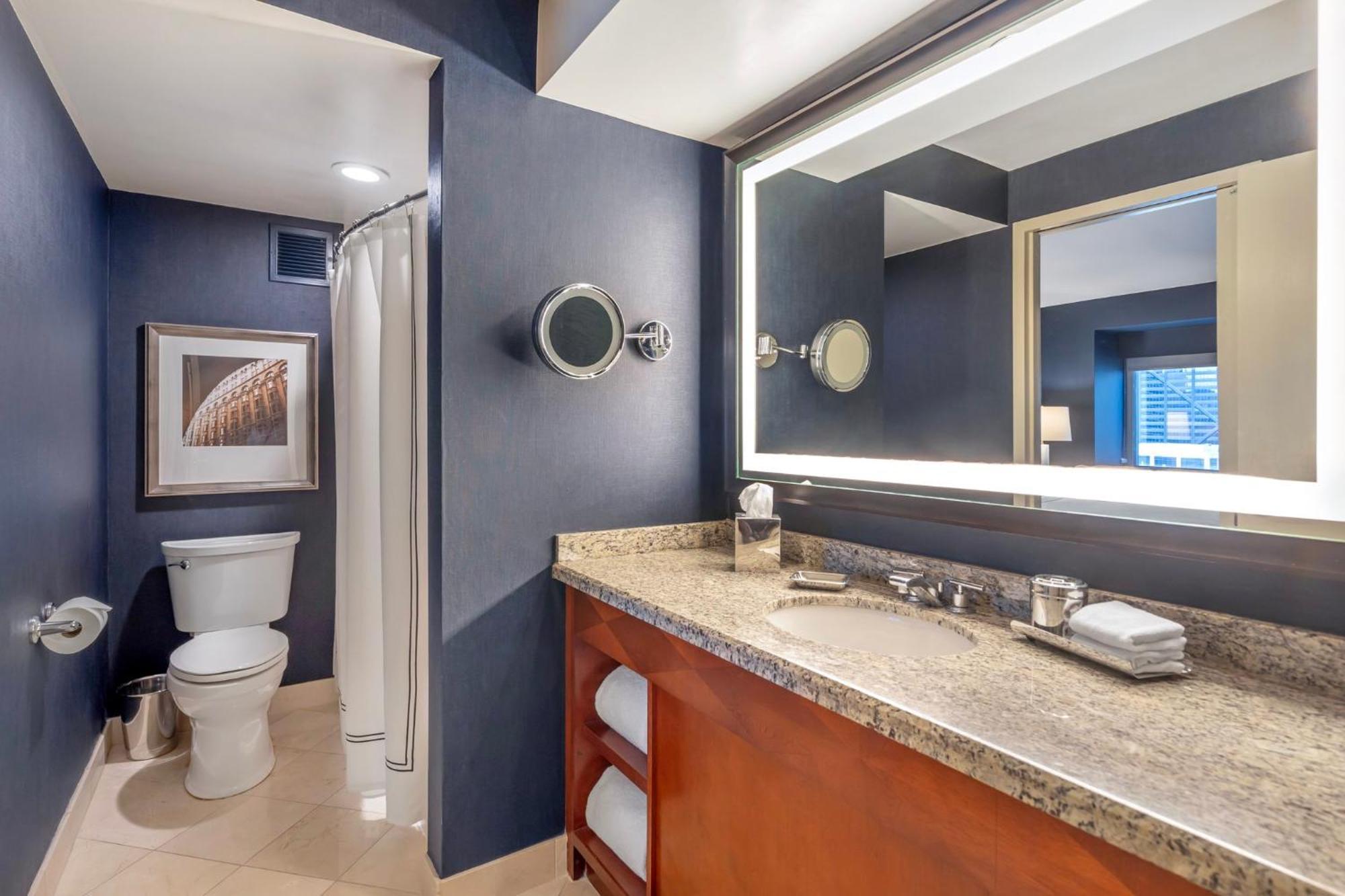 One Bedroom Suite 1 King Bed