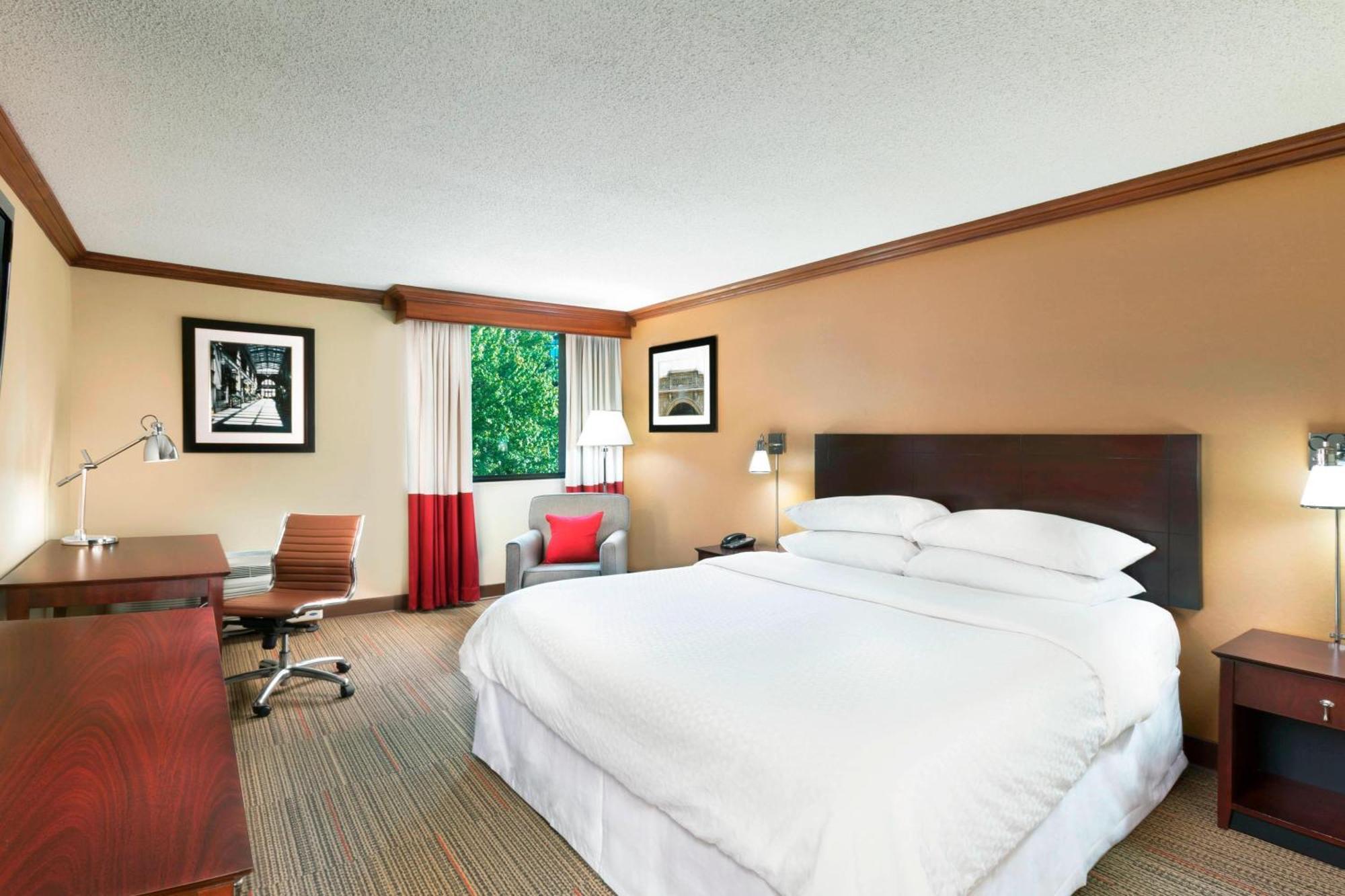 King Room Mobility or Hearing Accessible Tub