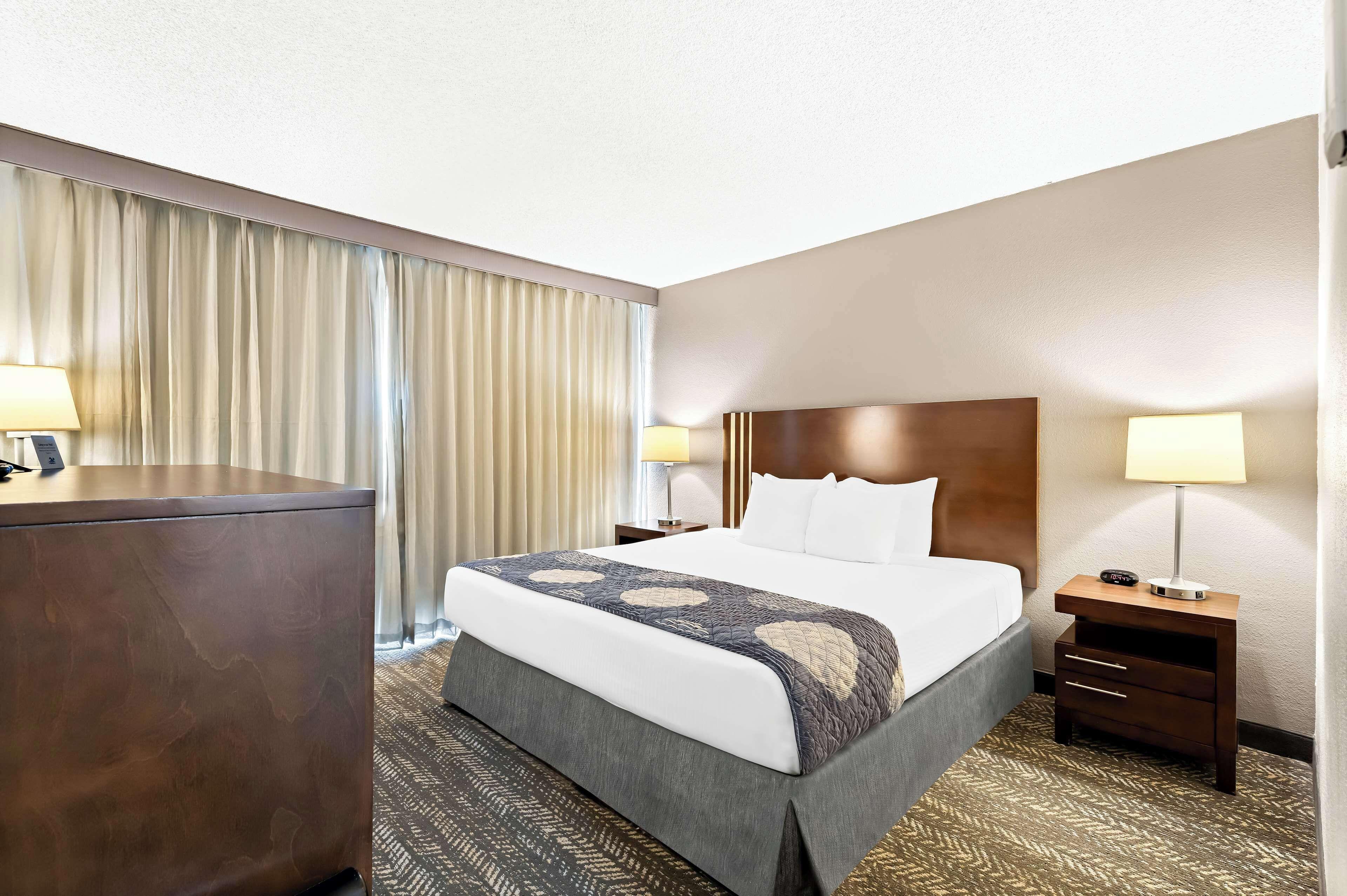 Standard King Room