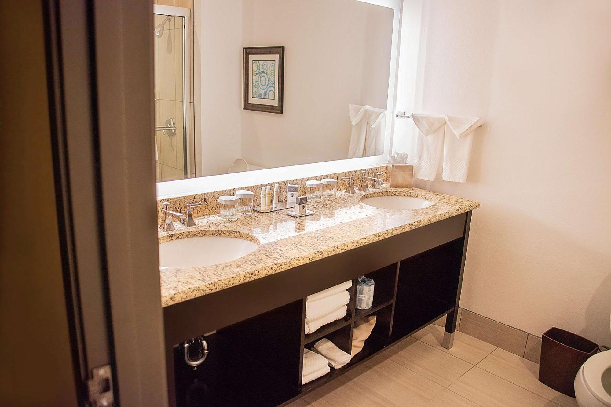 Executive Double Suite