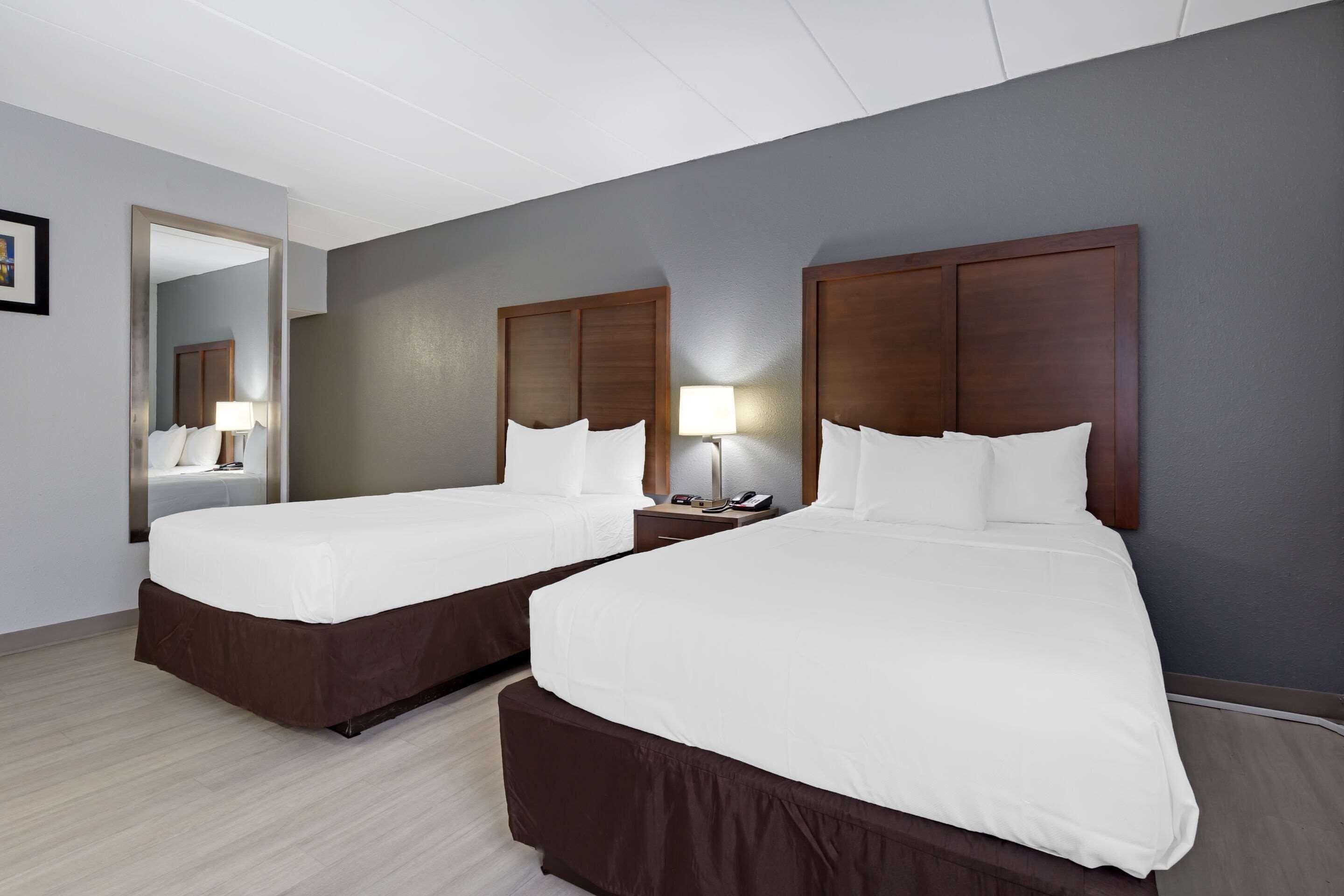 Suite Two Double Beds Non-Smoking