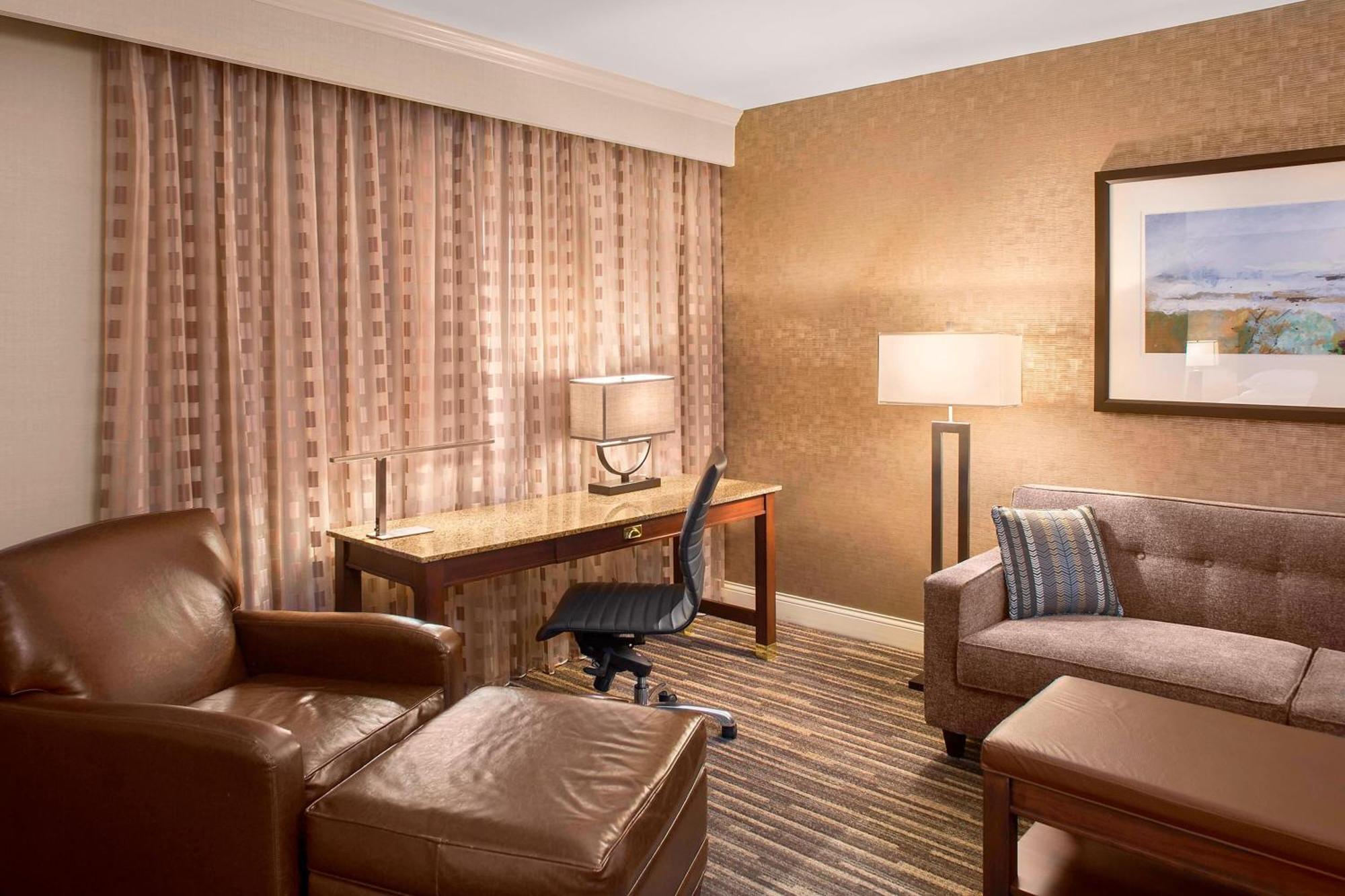 1 Bedroom Suite 1 King Sofa bed