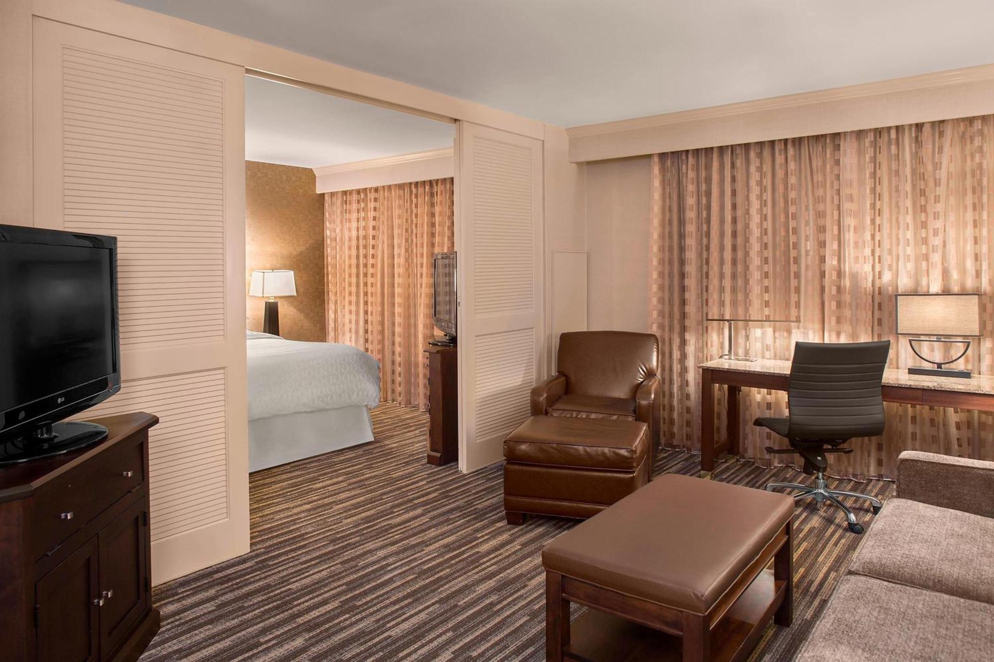 1 Bedroom Suite 1 King Sofa bed