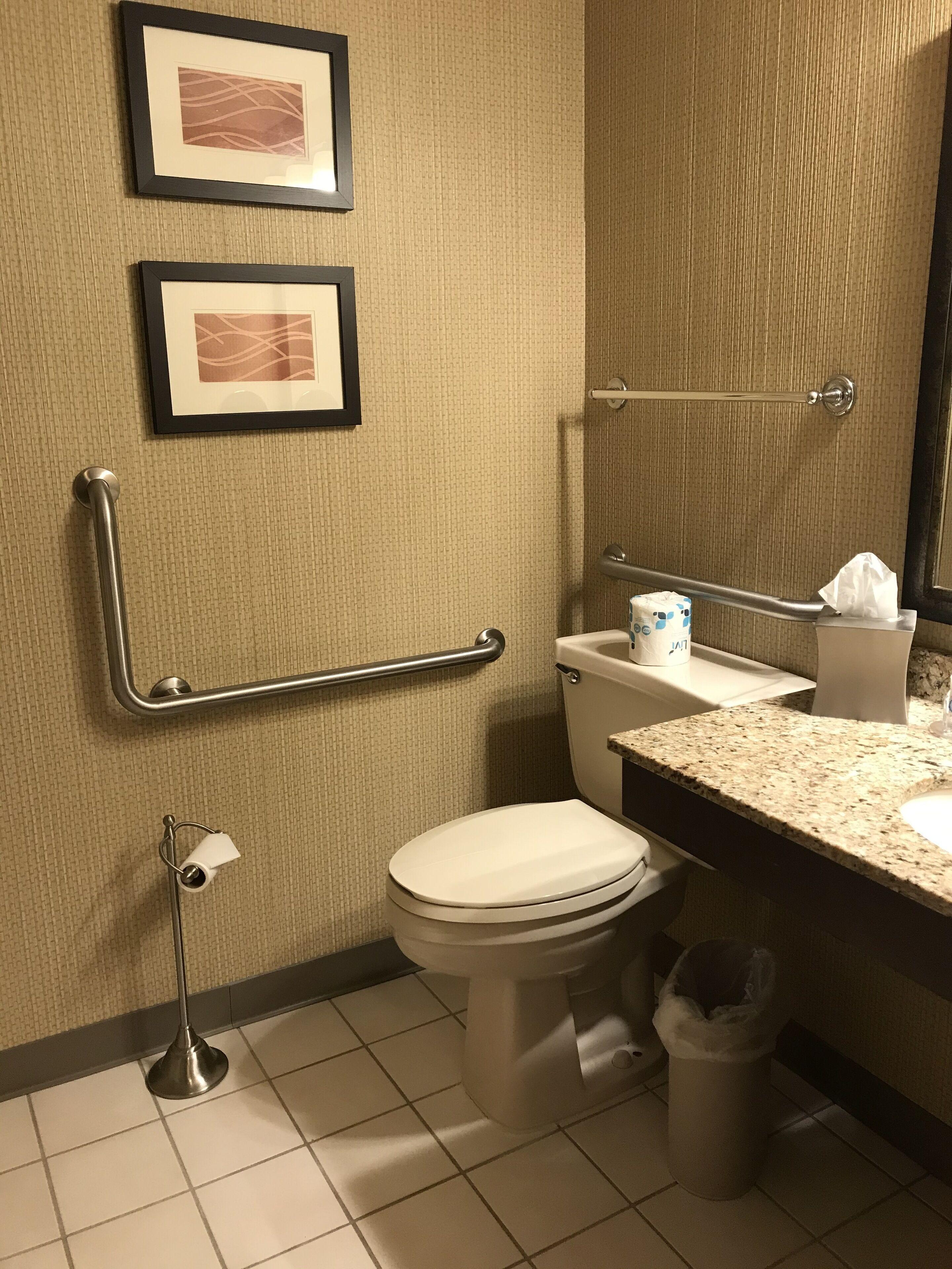King Room Accessible or Non-Smoking