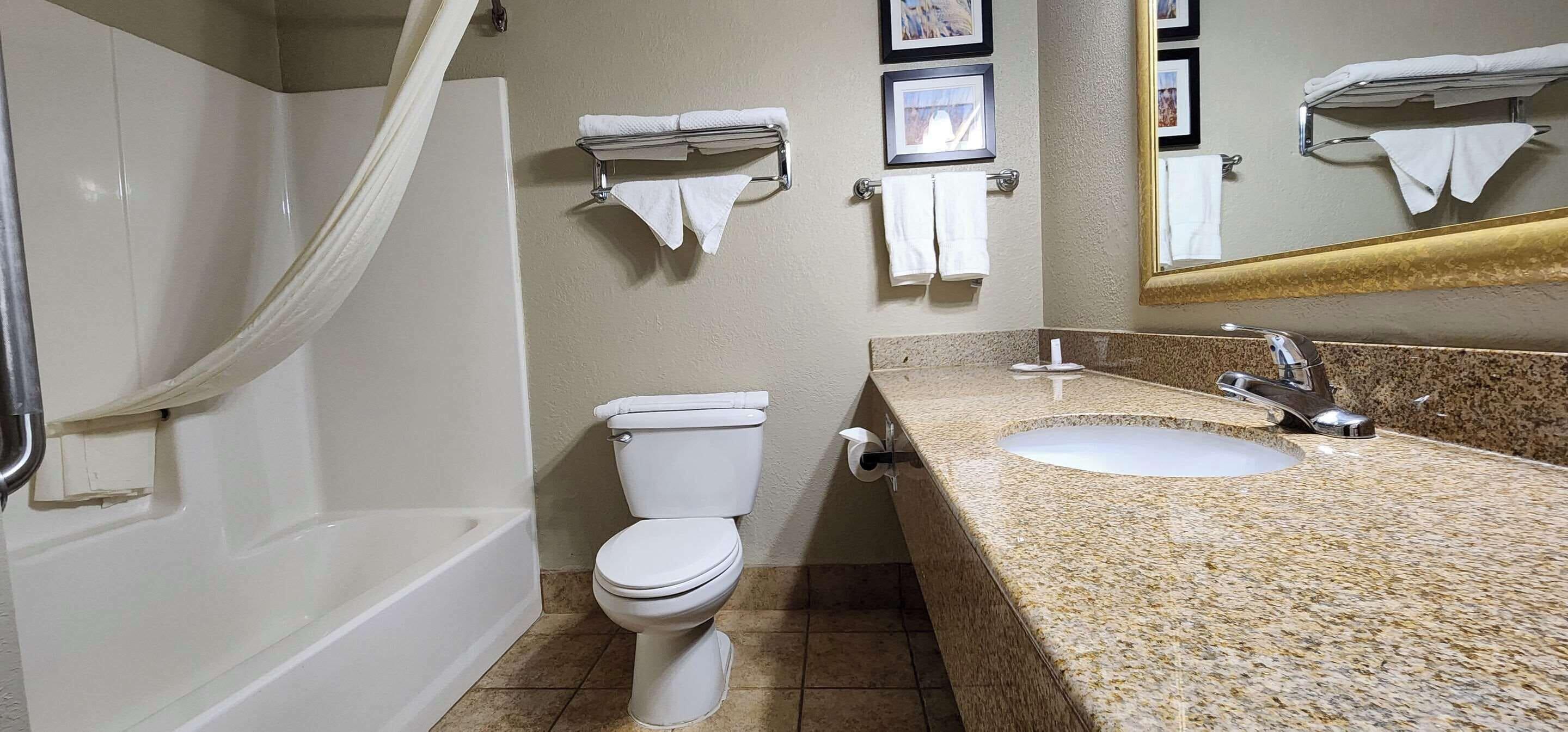 Queen Room Roll Shower Accessible or Non Smoking