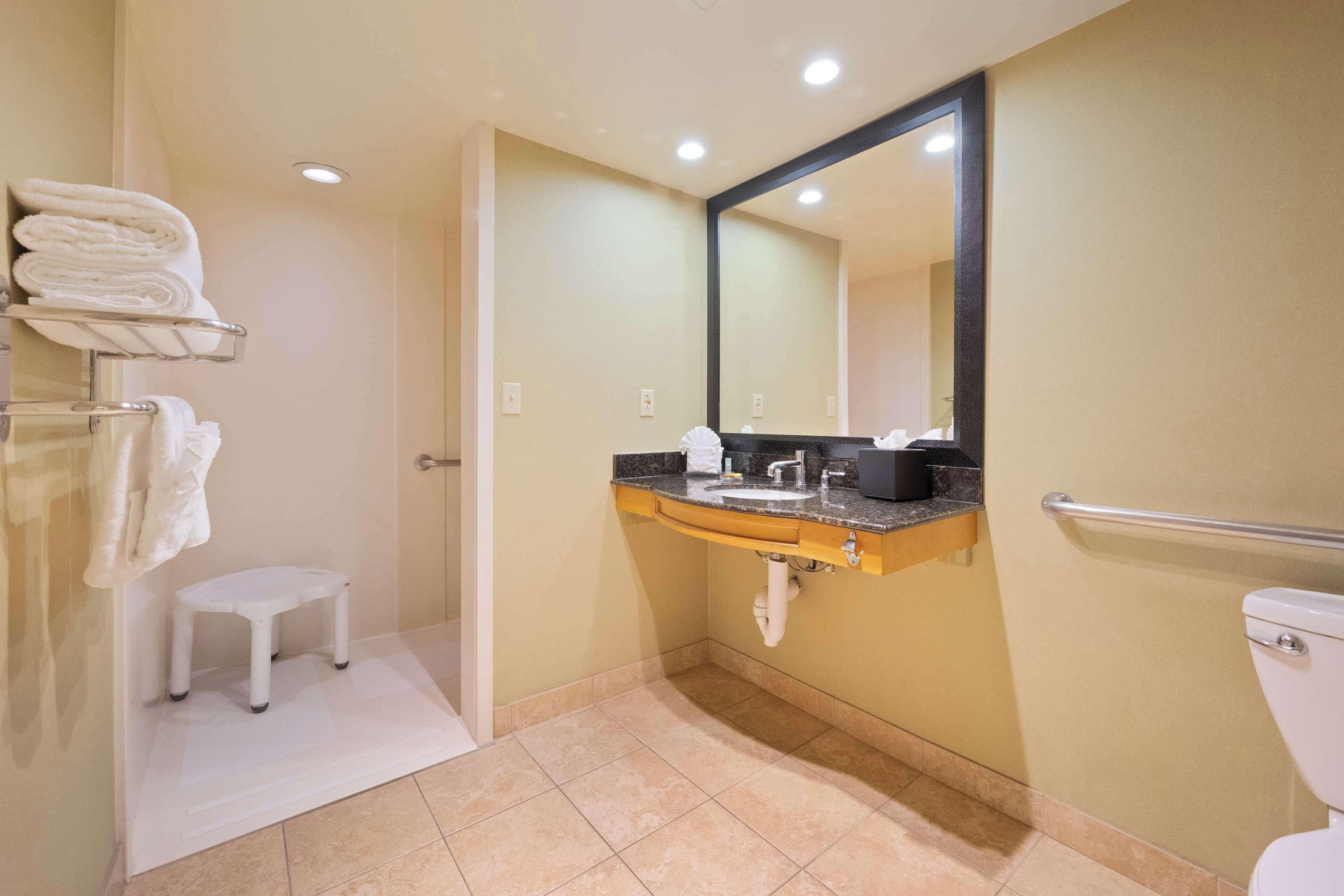 King Room Roll Shower Disability Access or Non-Smoking