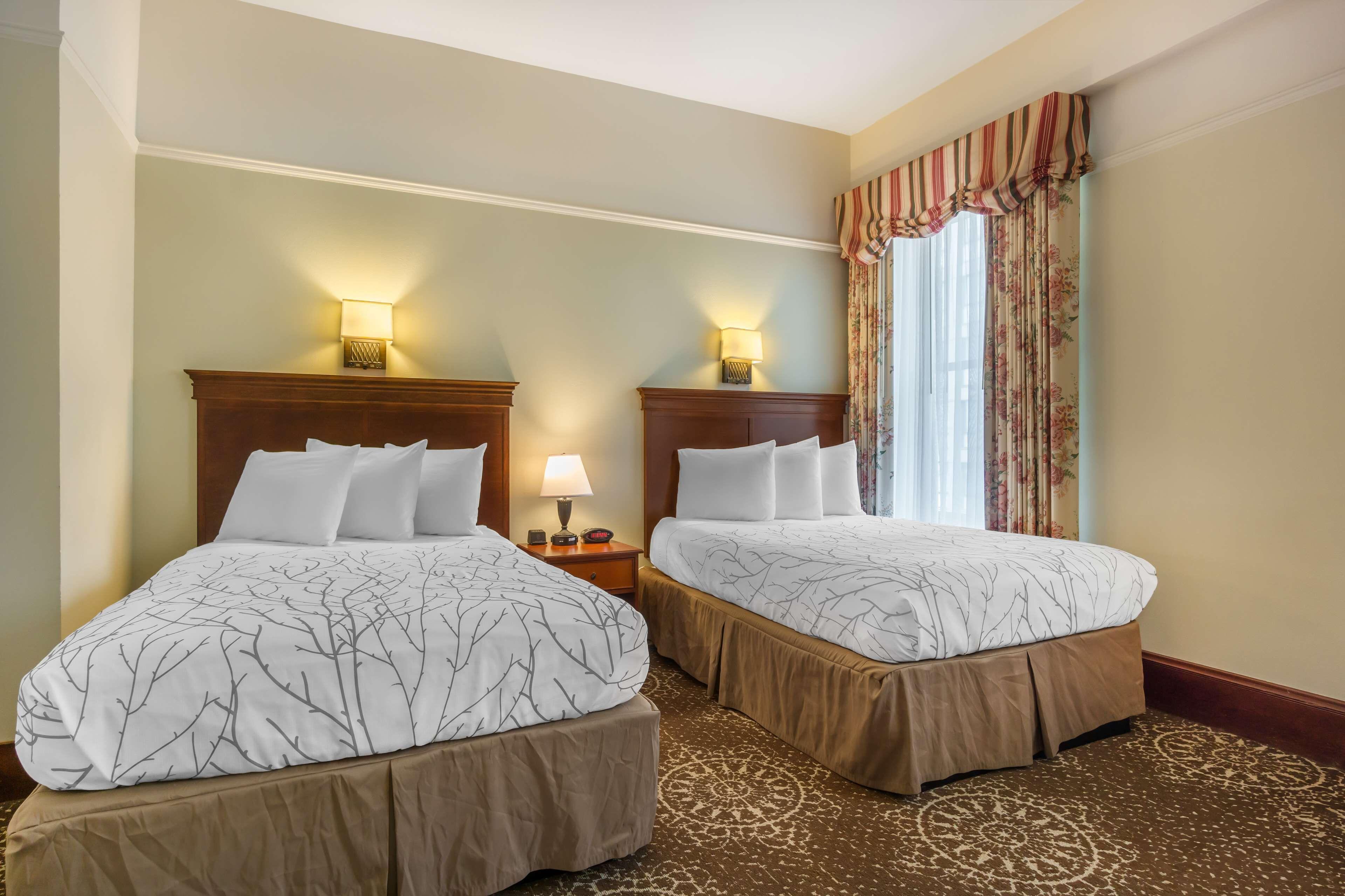 Double Room Two Double Beds City View Non-Smoking