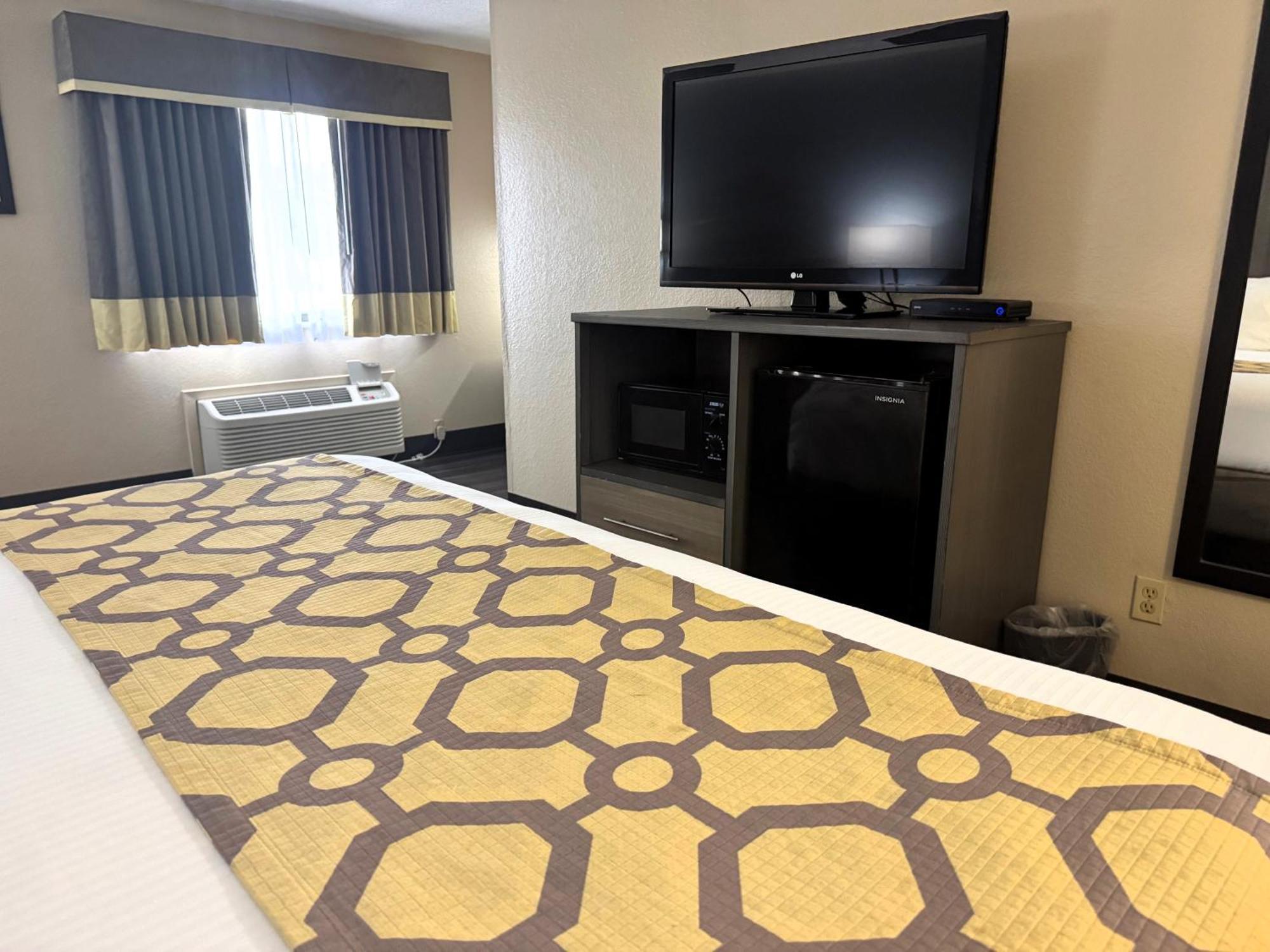 King Room Pet Friendly or Non-Smoking