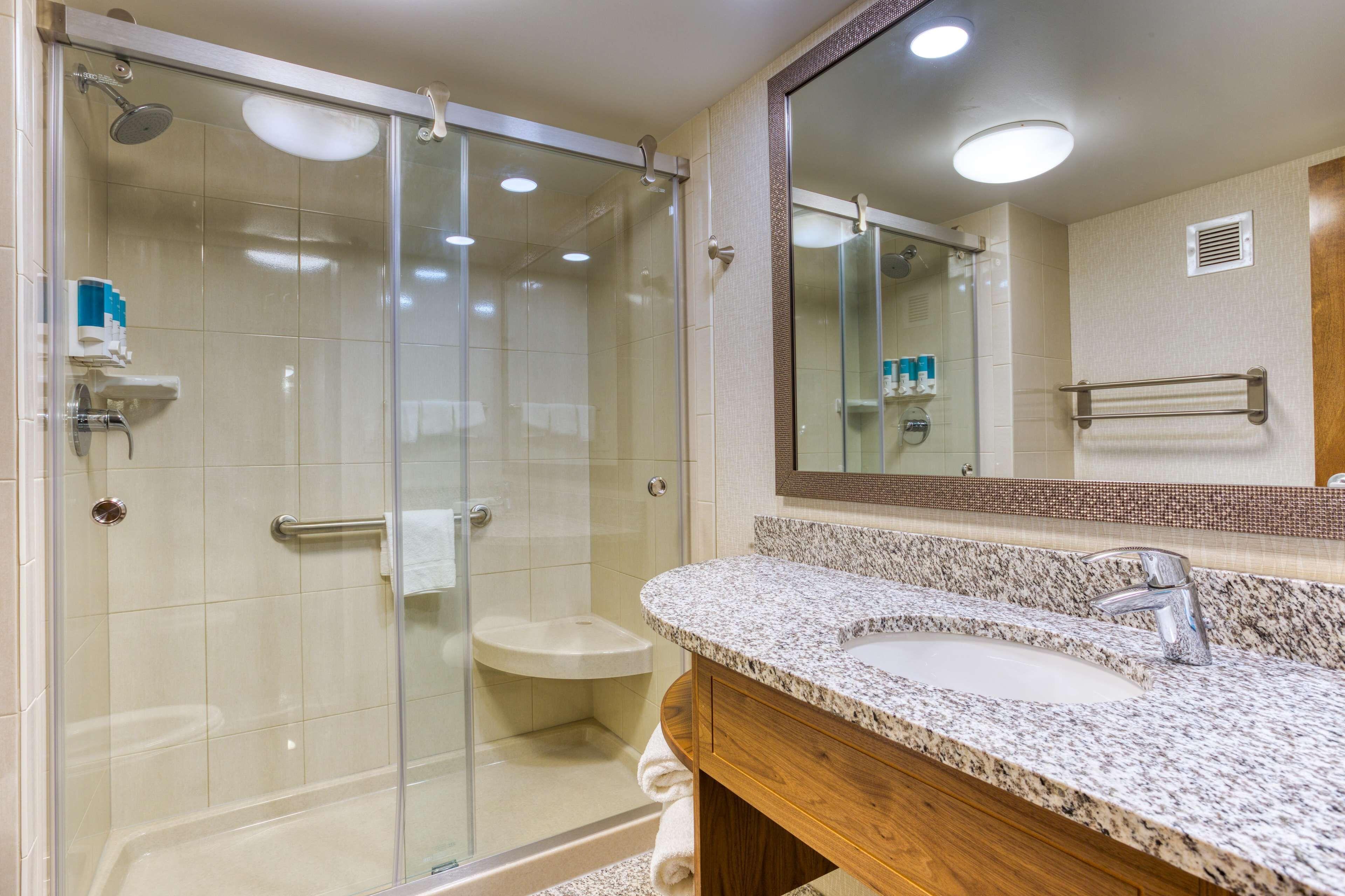 Deluxe King Room Accessible Roll Shower