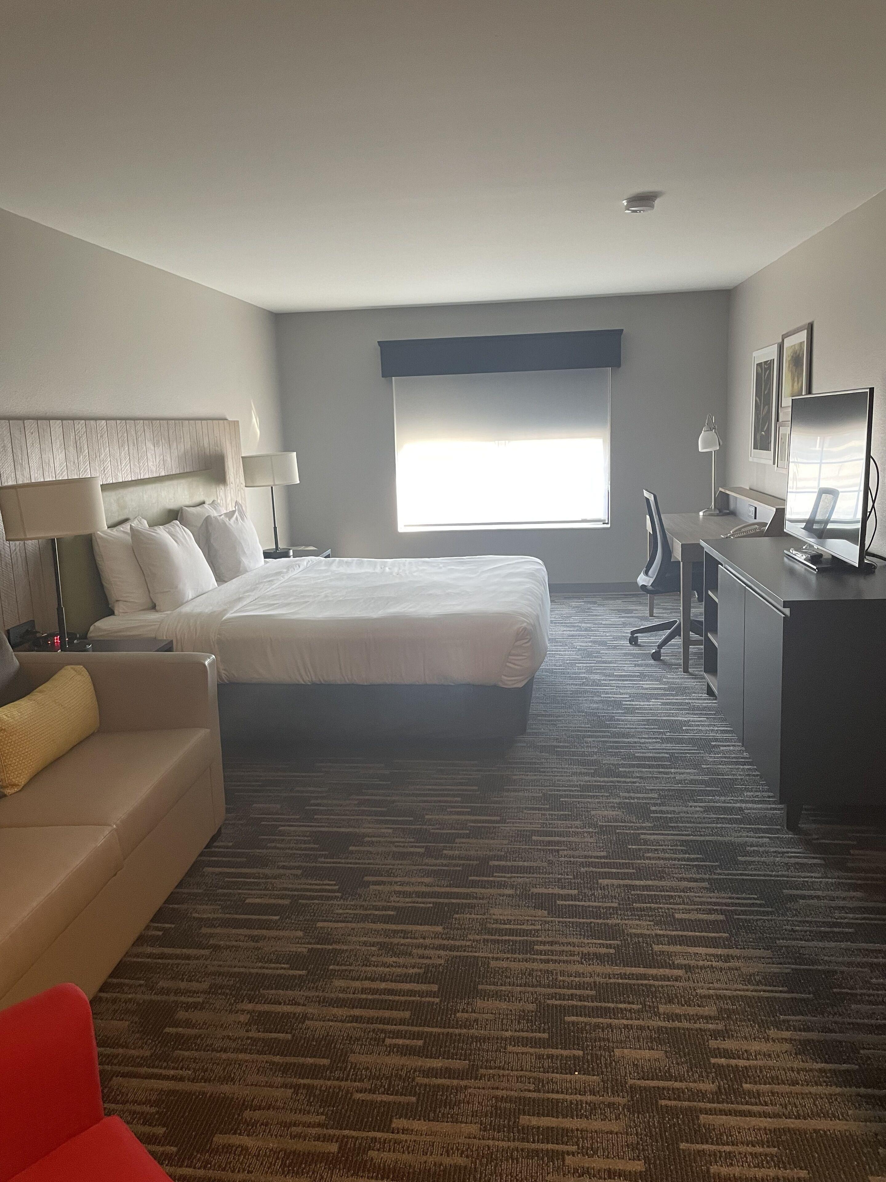 Premium One-Bedroom King Suite Pet Friendly or Non-Smoking