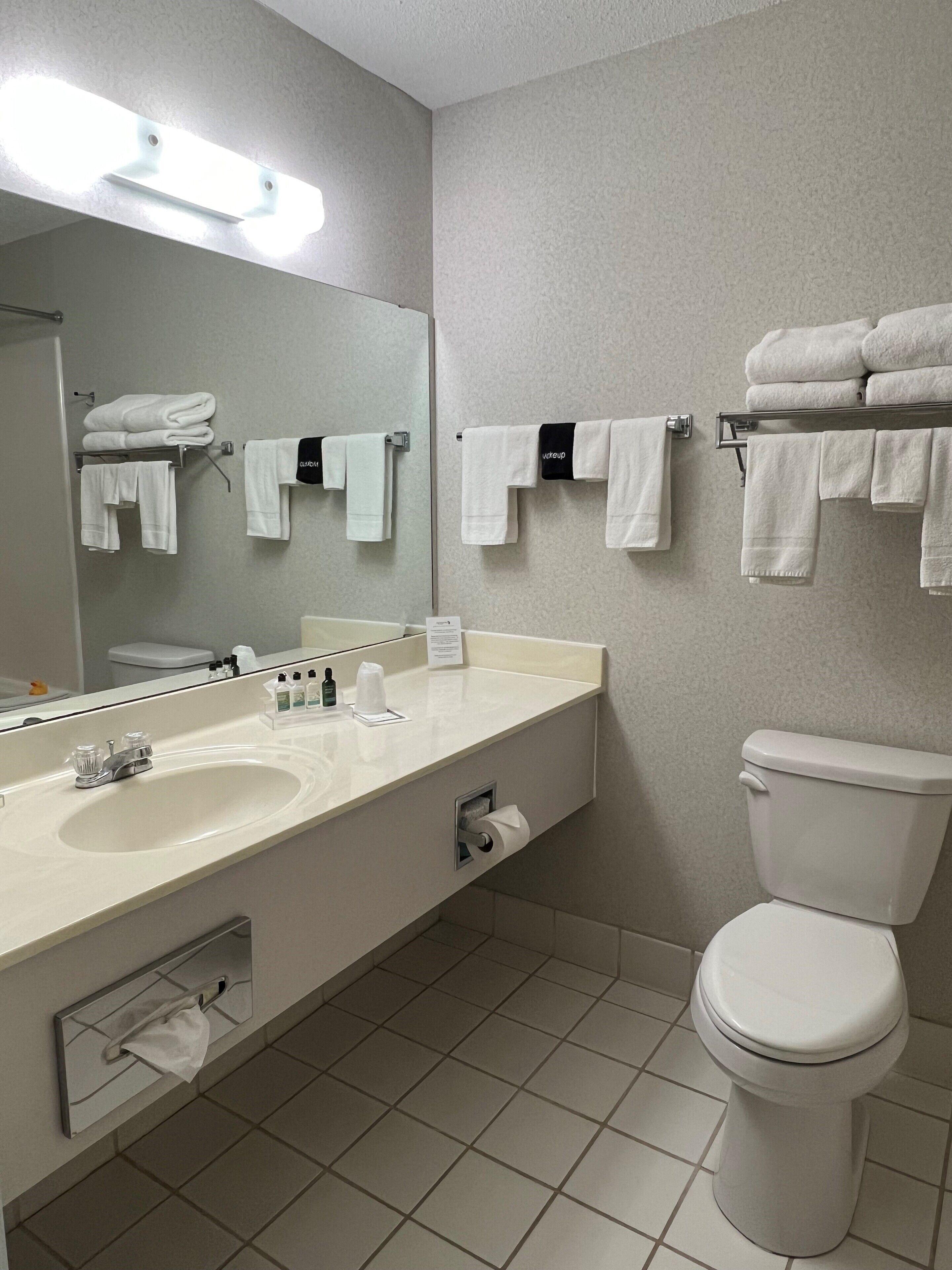 One-Bedroom King Suite