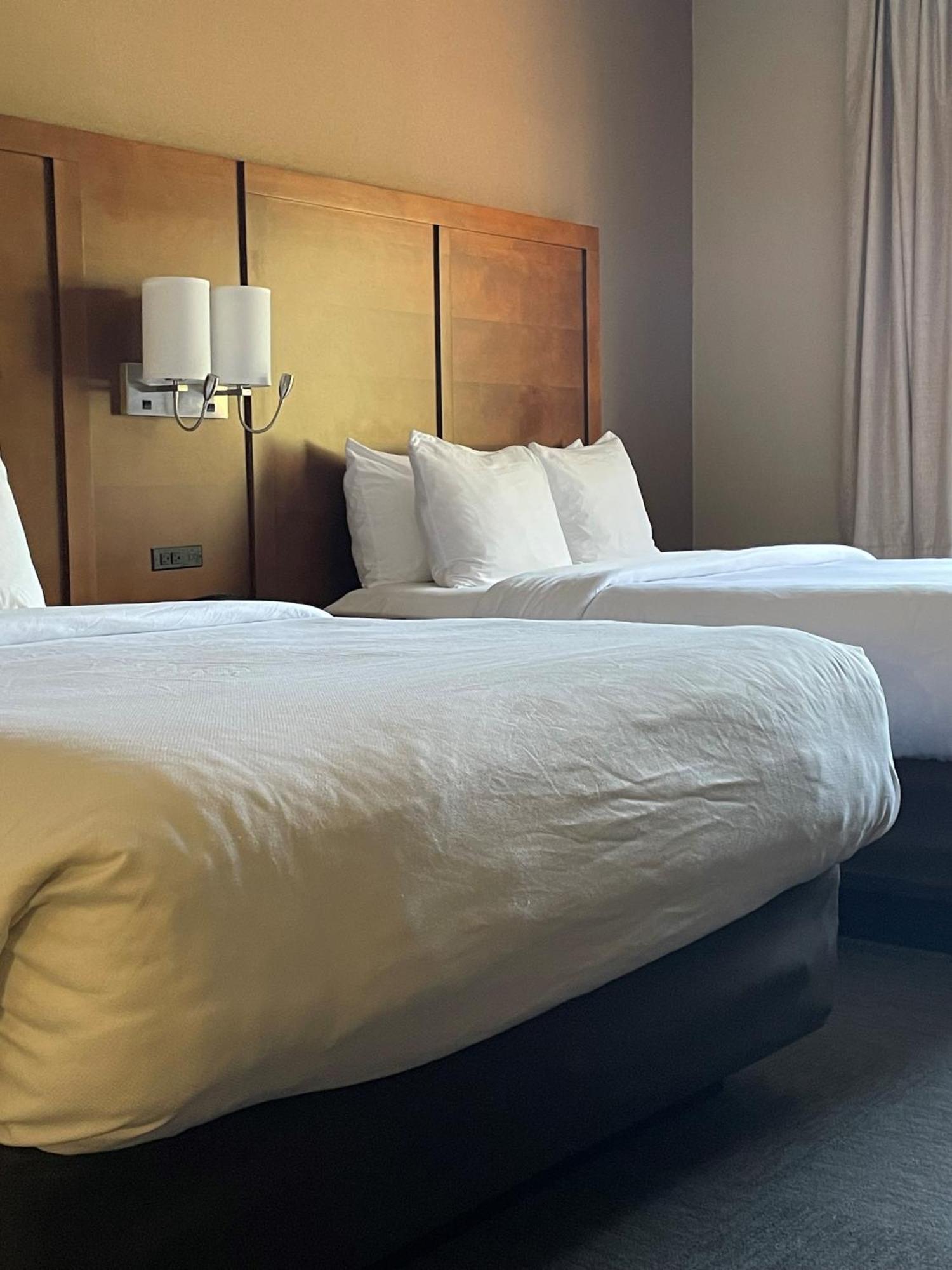 Studio Suite Two Queen Beds Non-Smoking