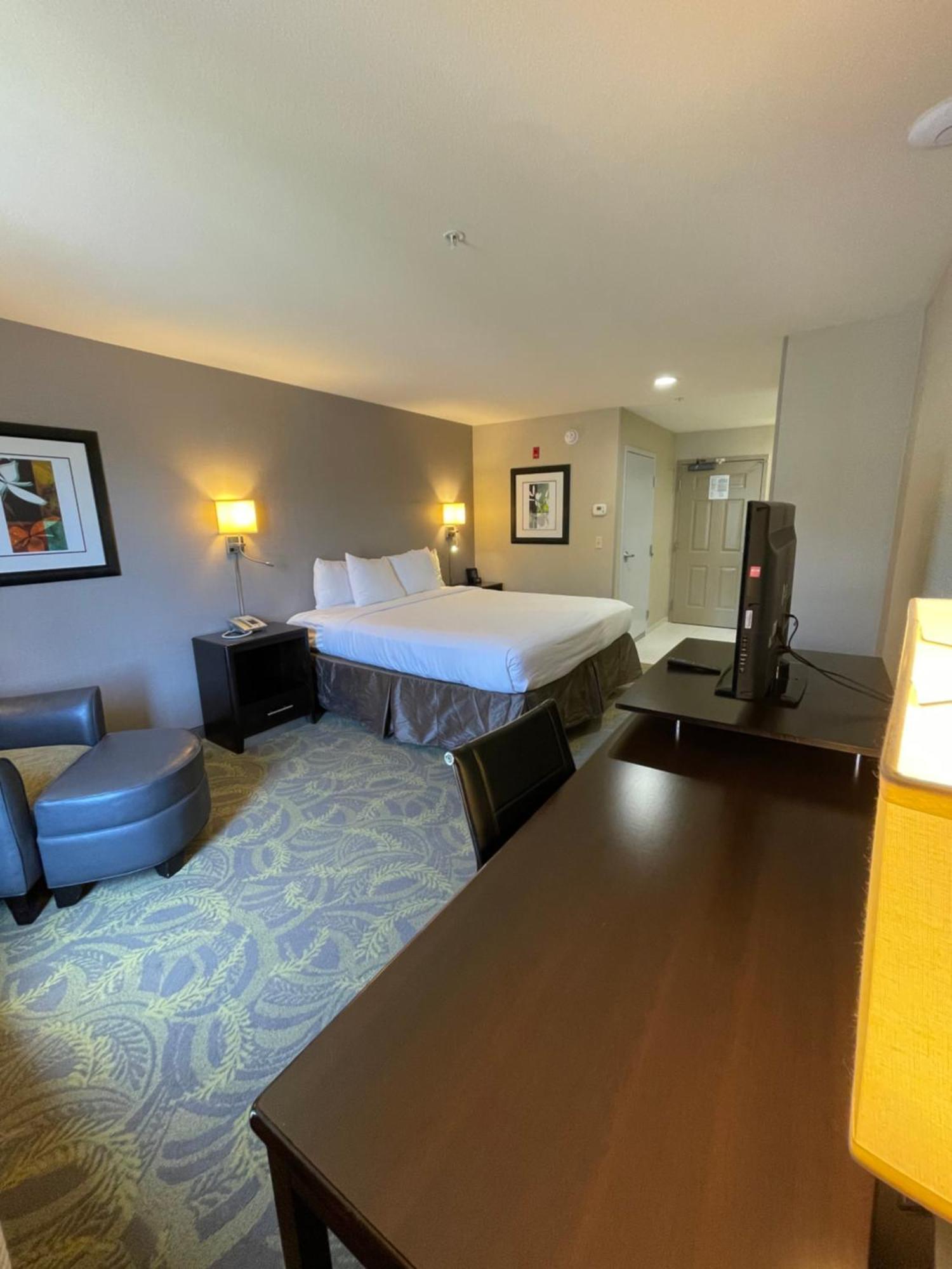 Standard King Room