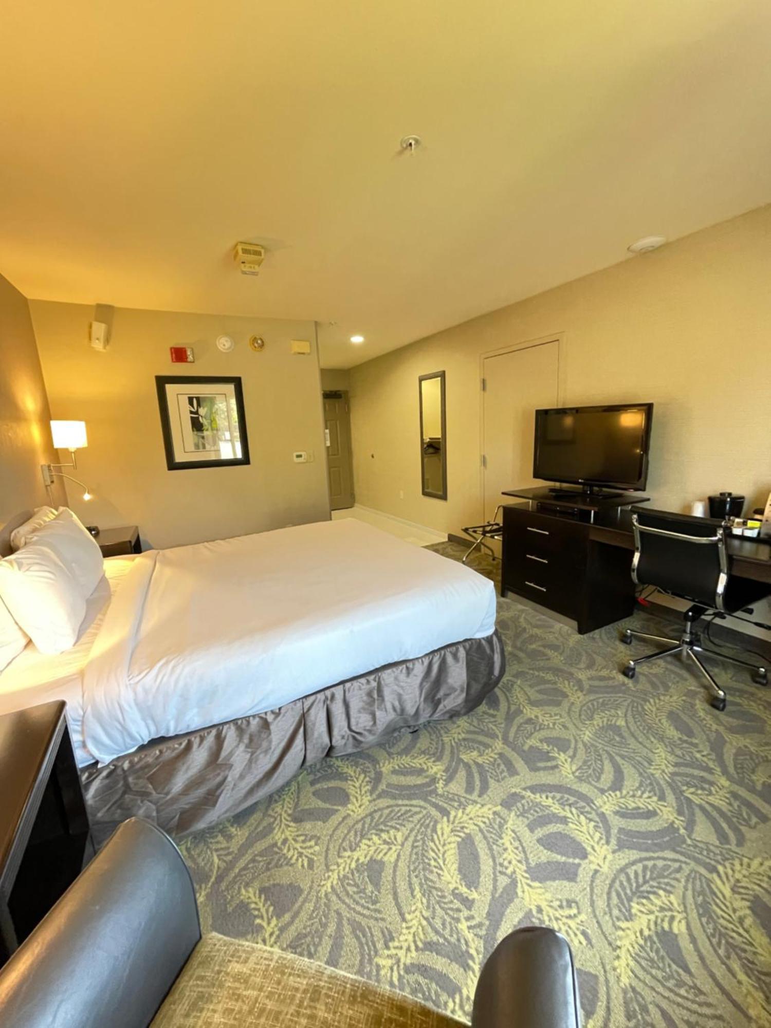 King Room Disability Access