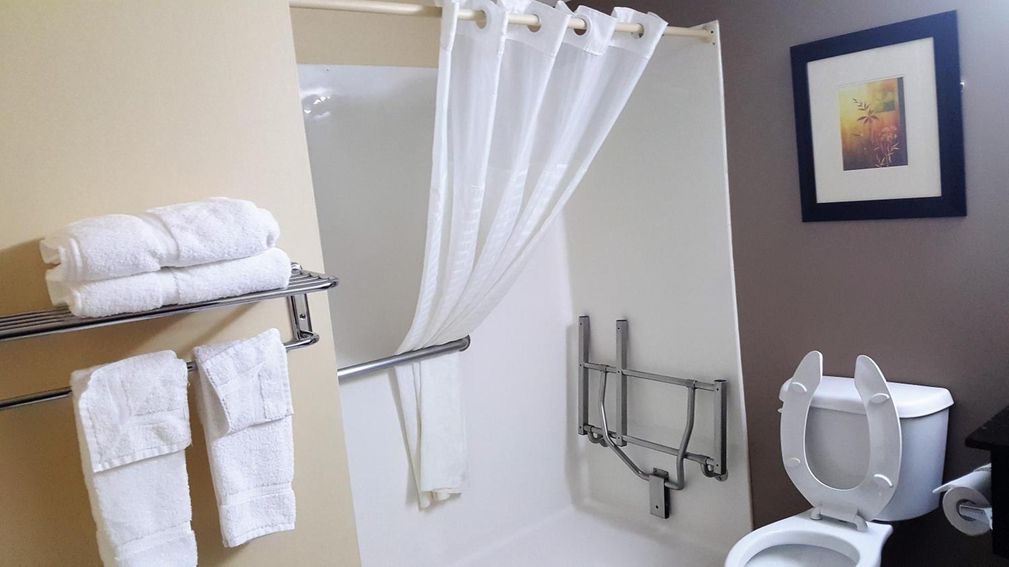 Queen Room Mobility Access or Non-Smoking