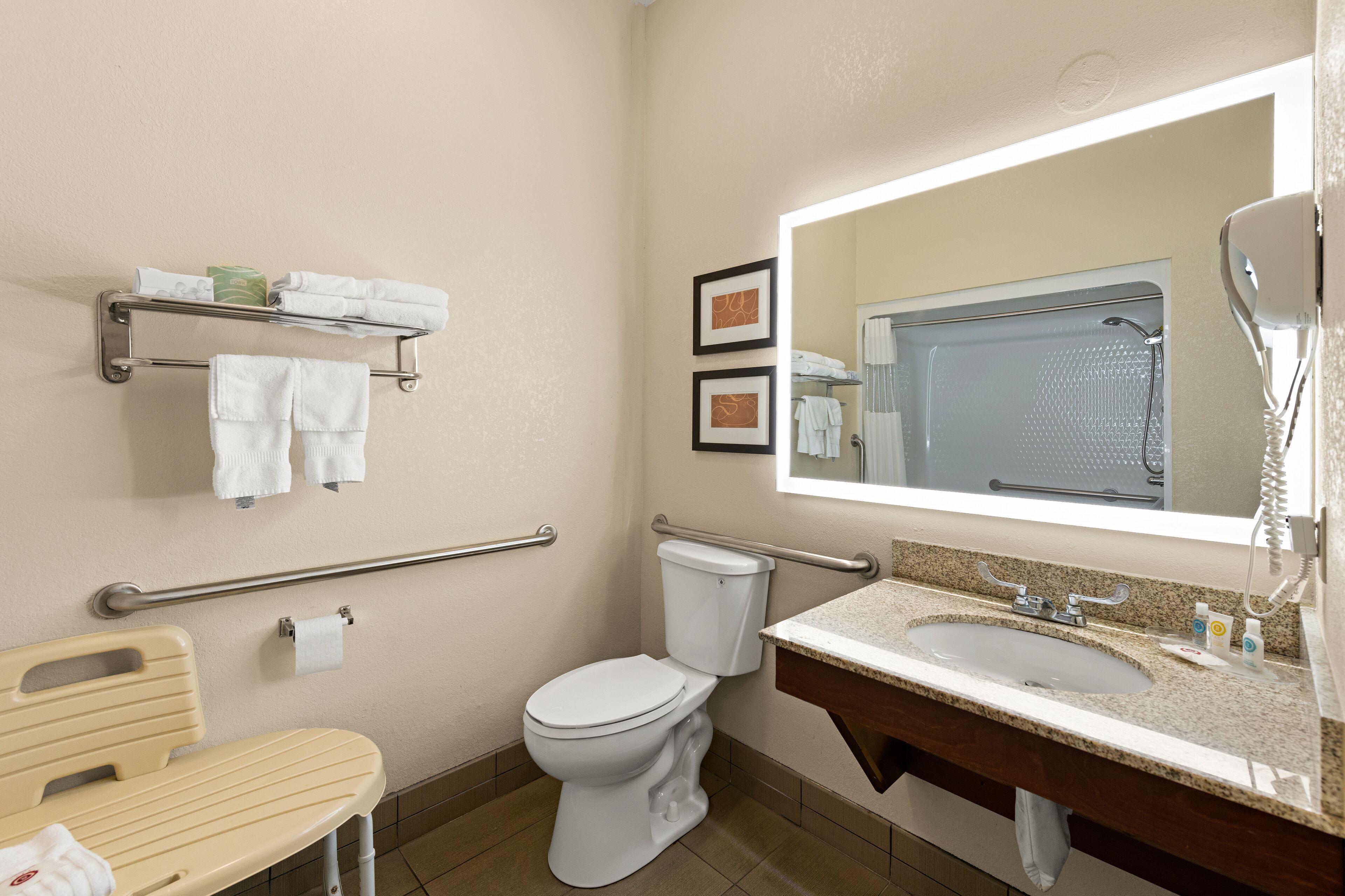 King Suite Accessible or Non Smoking