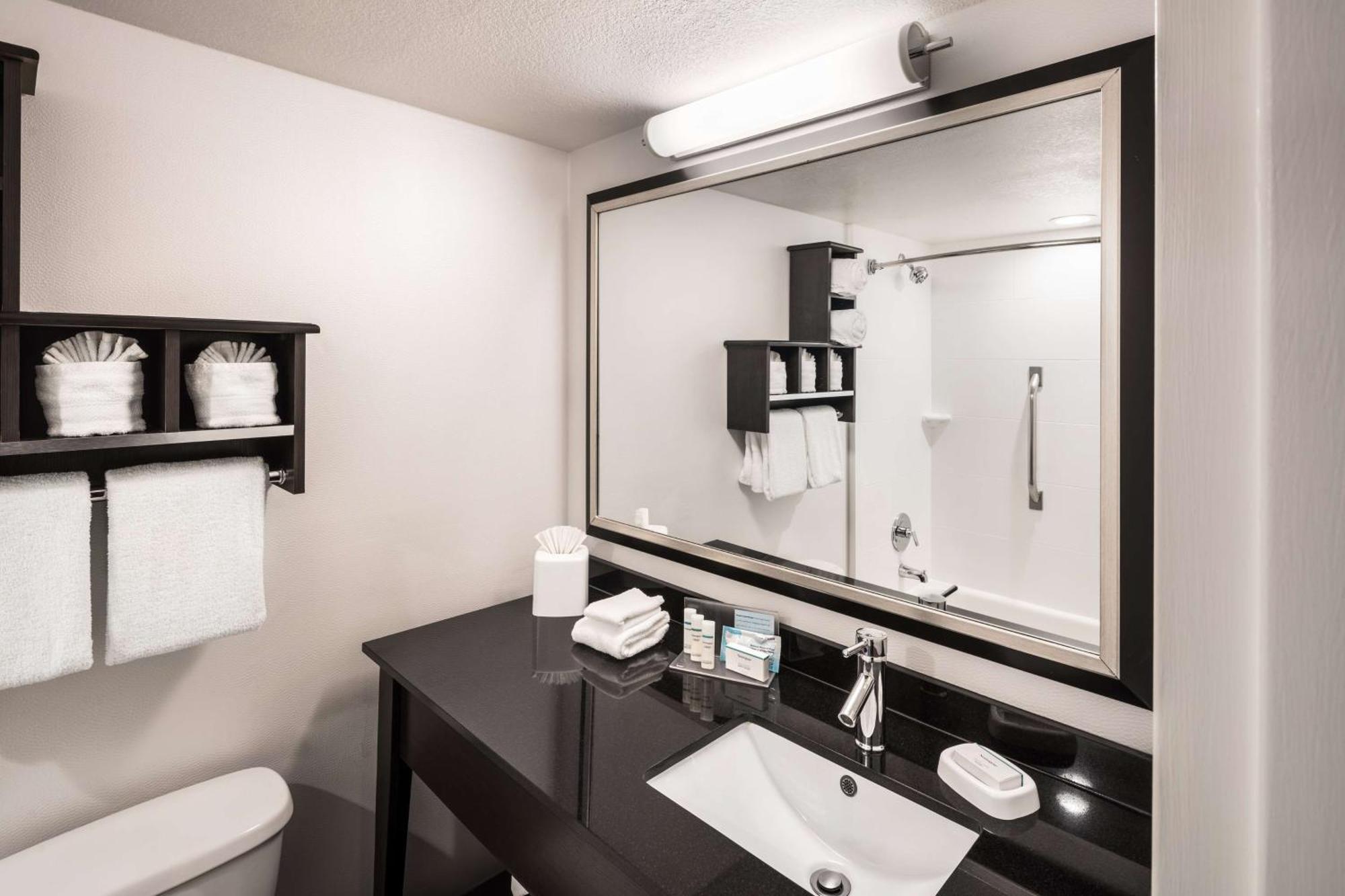 King Room Mobility Access or Non-Smoking
