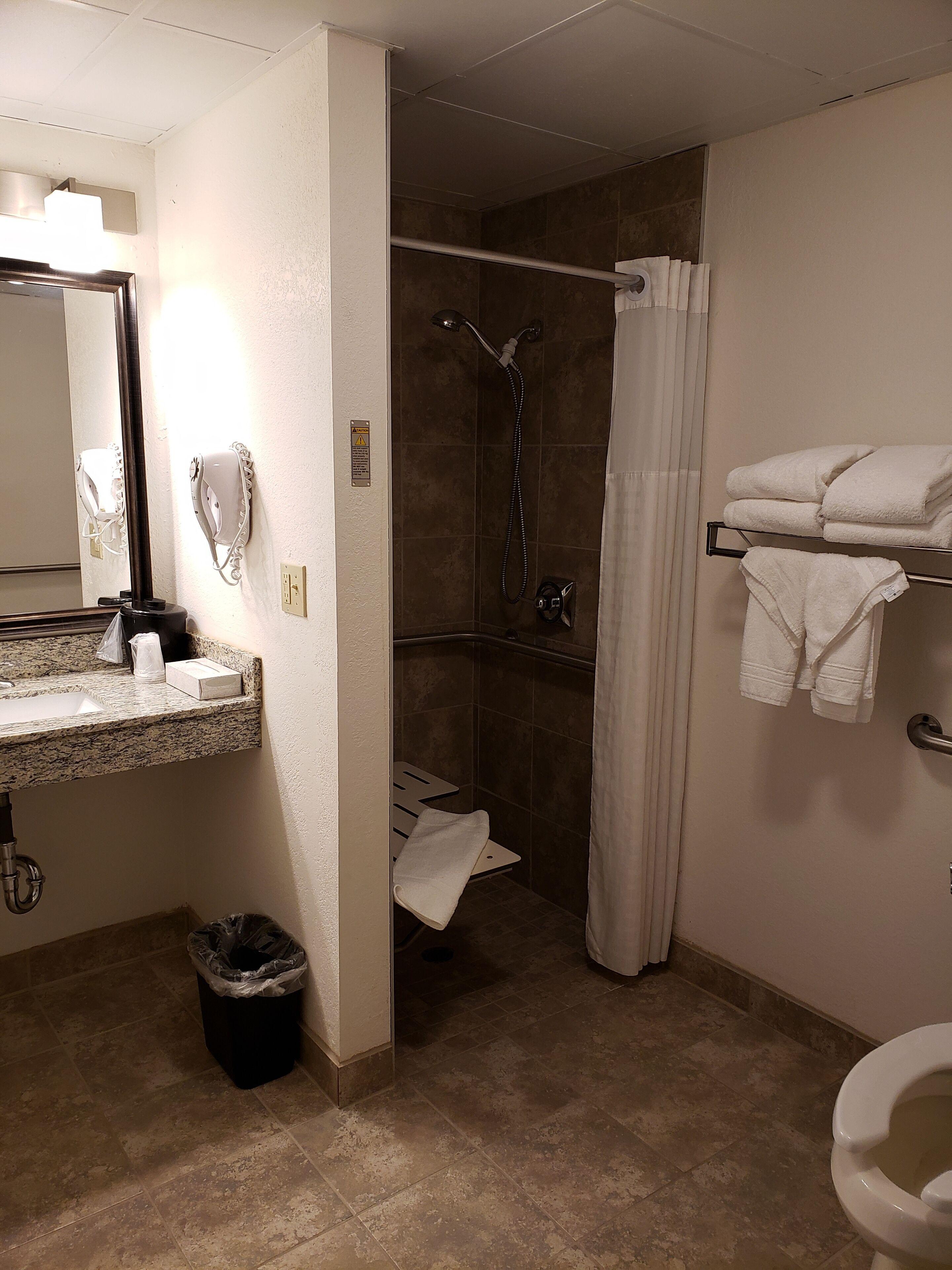 Queen Room Mobility Access or Non-Smoking