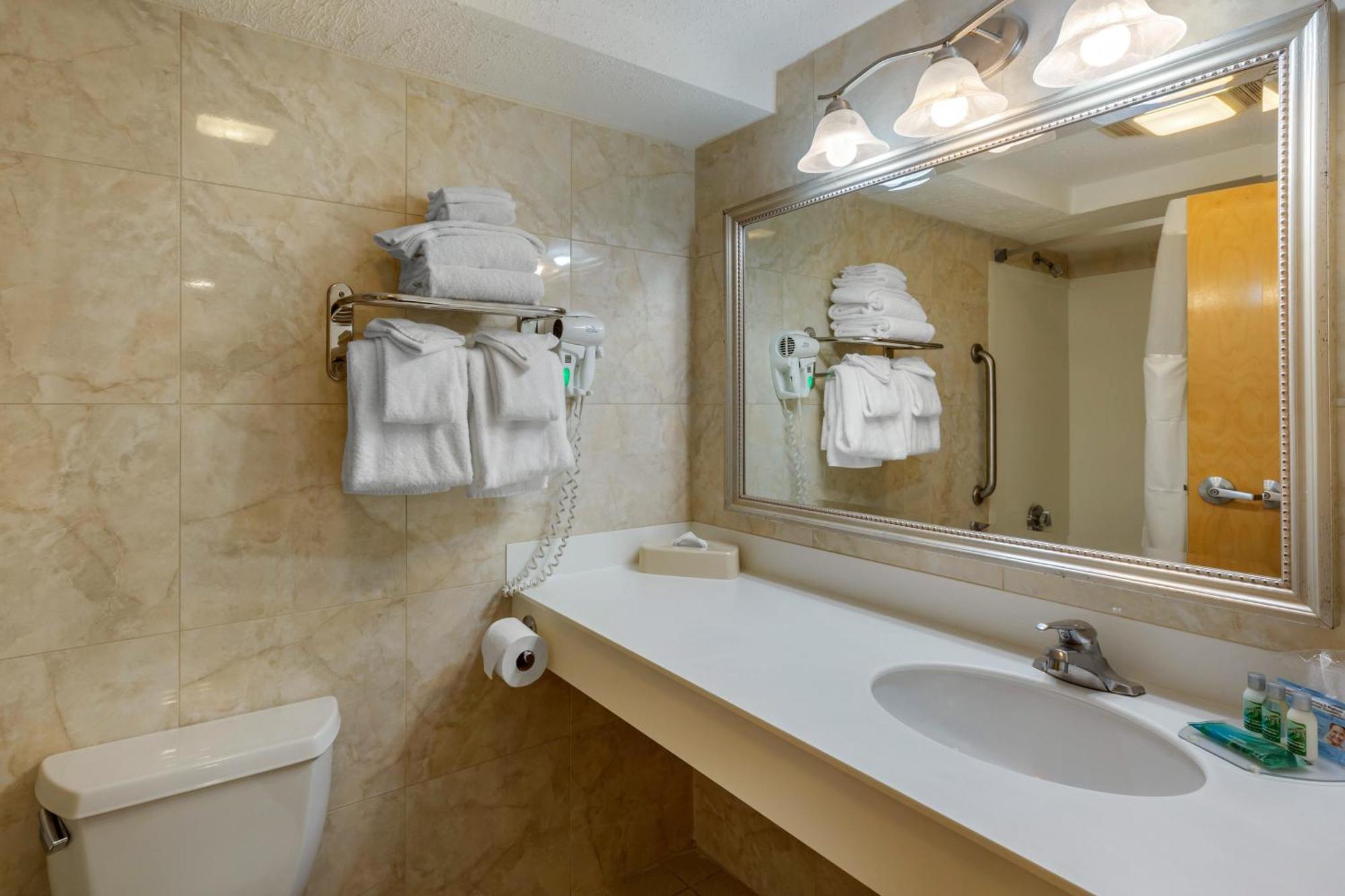 King Suite Living Room Suites Building