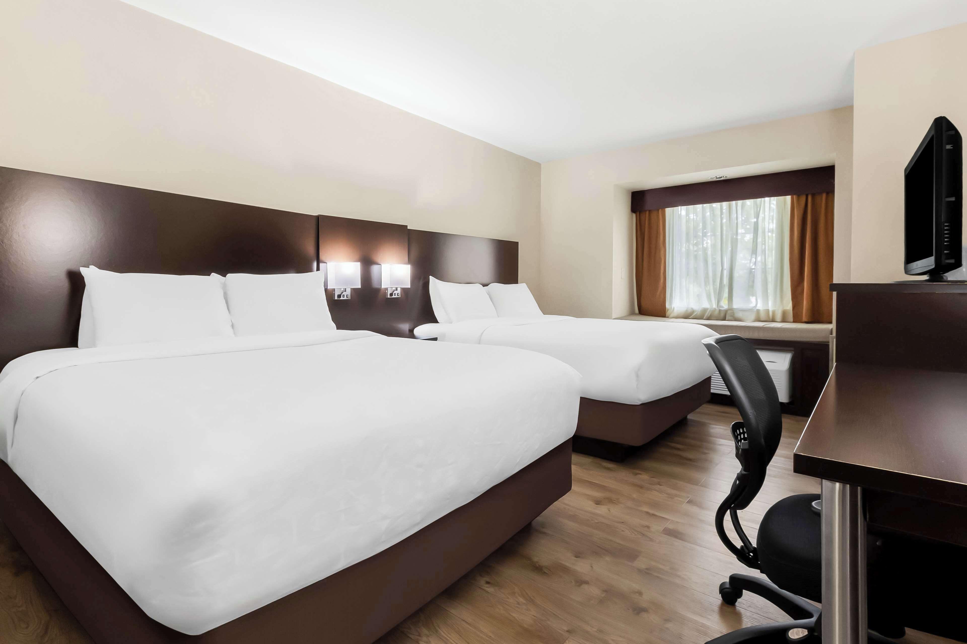 Suite Two Double Beds Disability Access