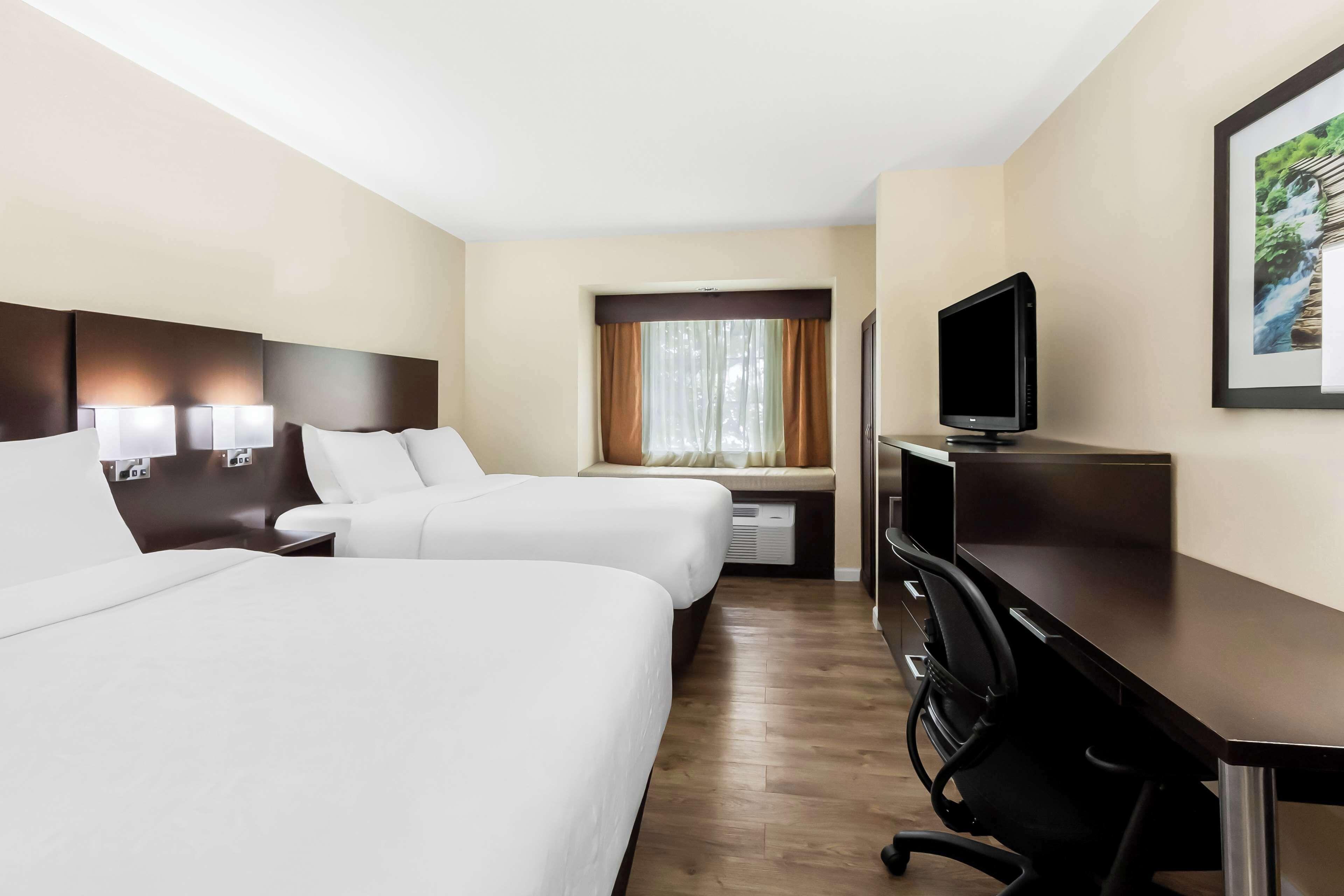 Suite Two Double Beds Disability Access