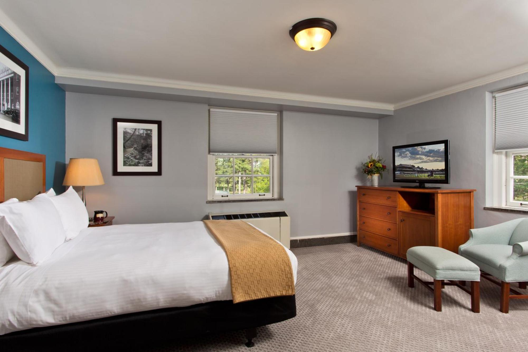 One-Bedroom Queen Suite Sofa Bed
