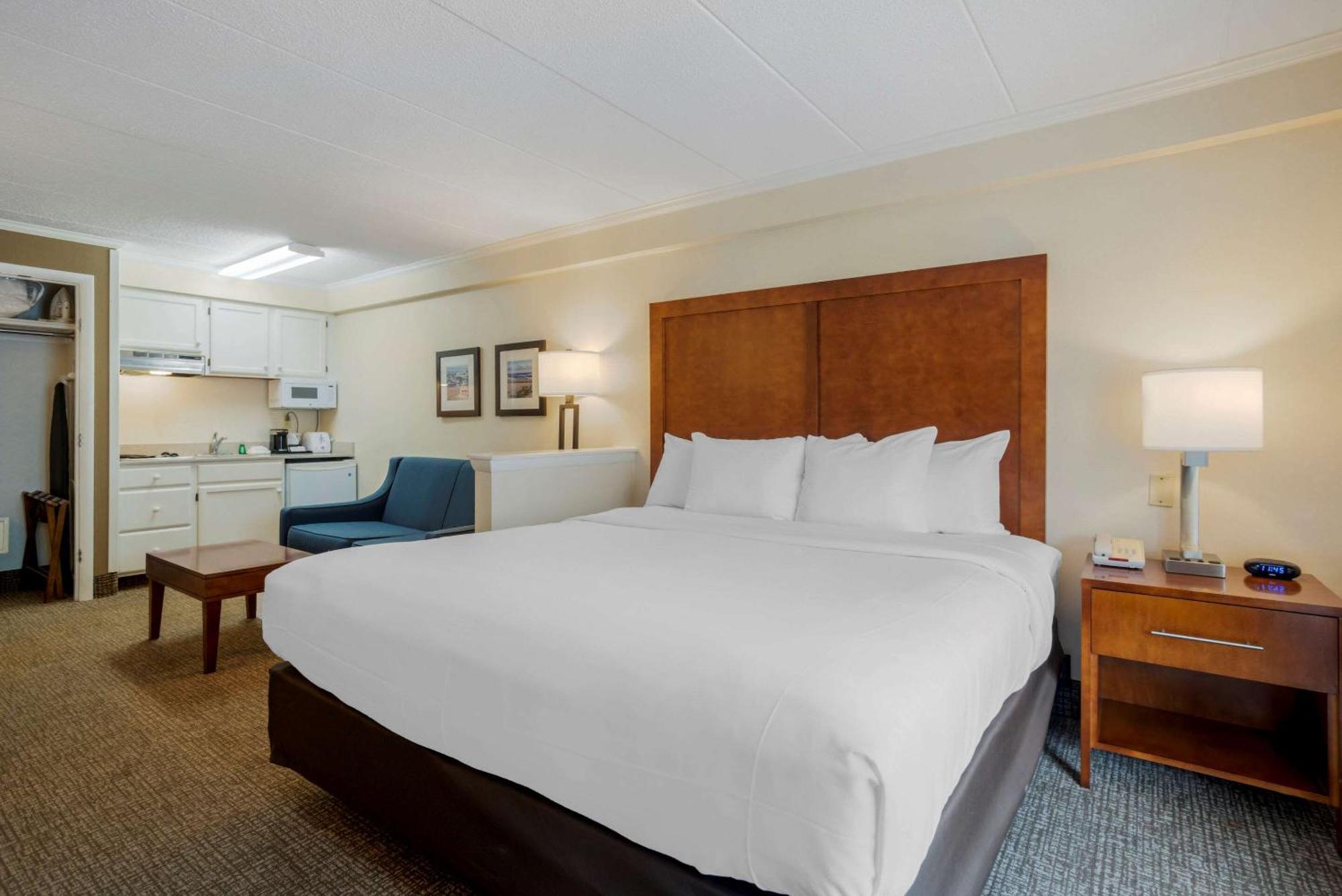 One King Bed City View