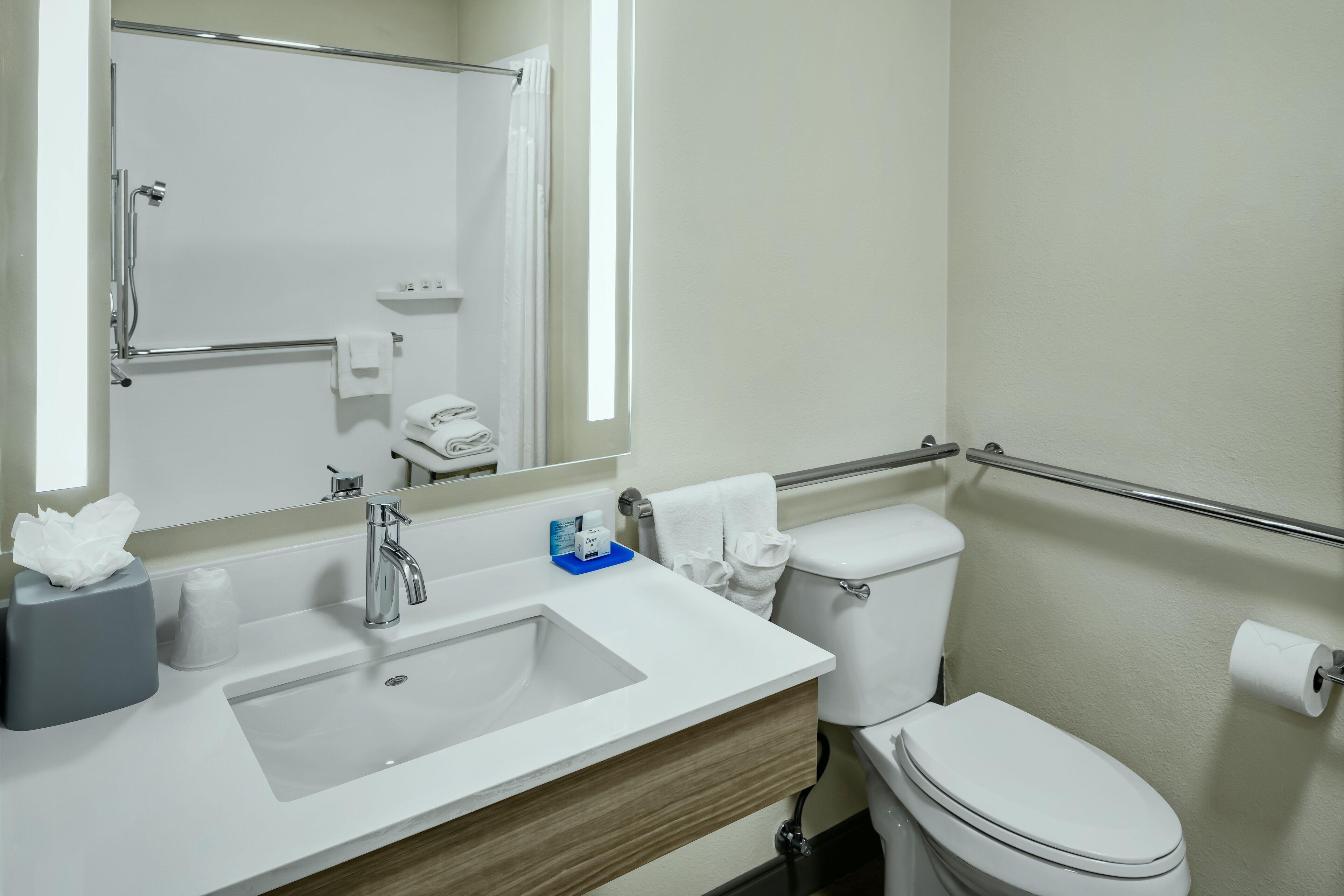 King Room Roll Shower Hearing Accessible or Non-Smoking