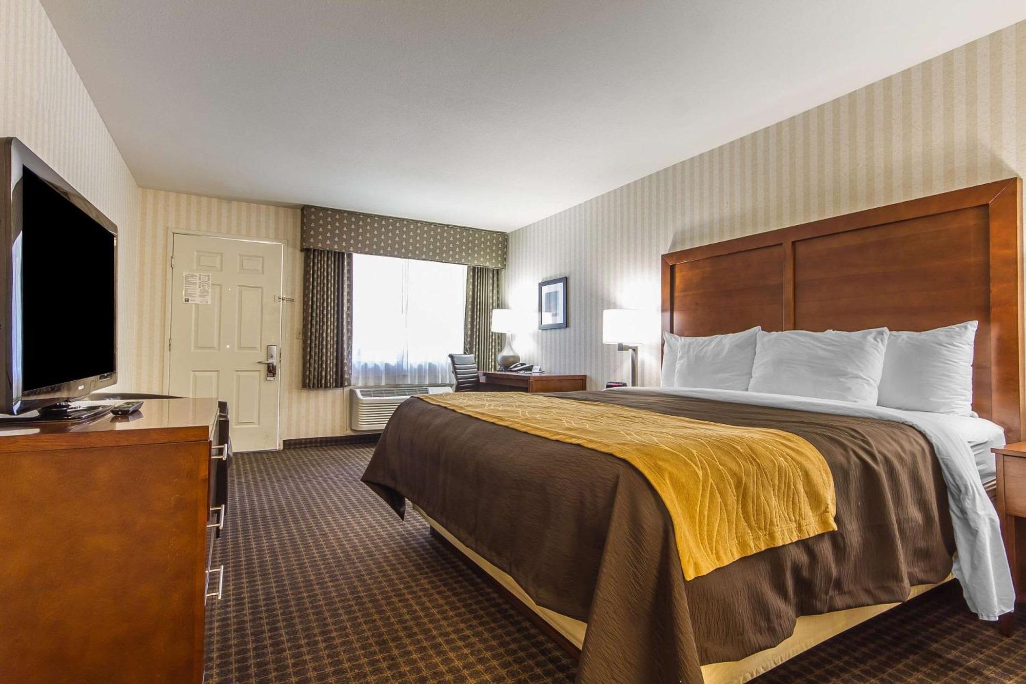 Standard King Room