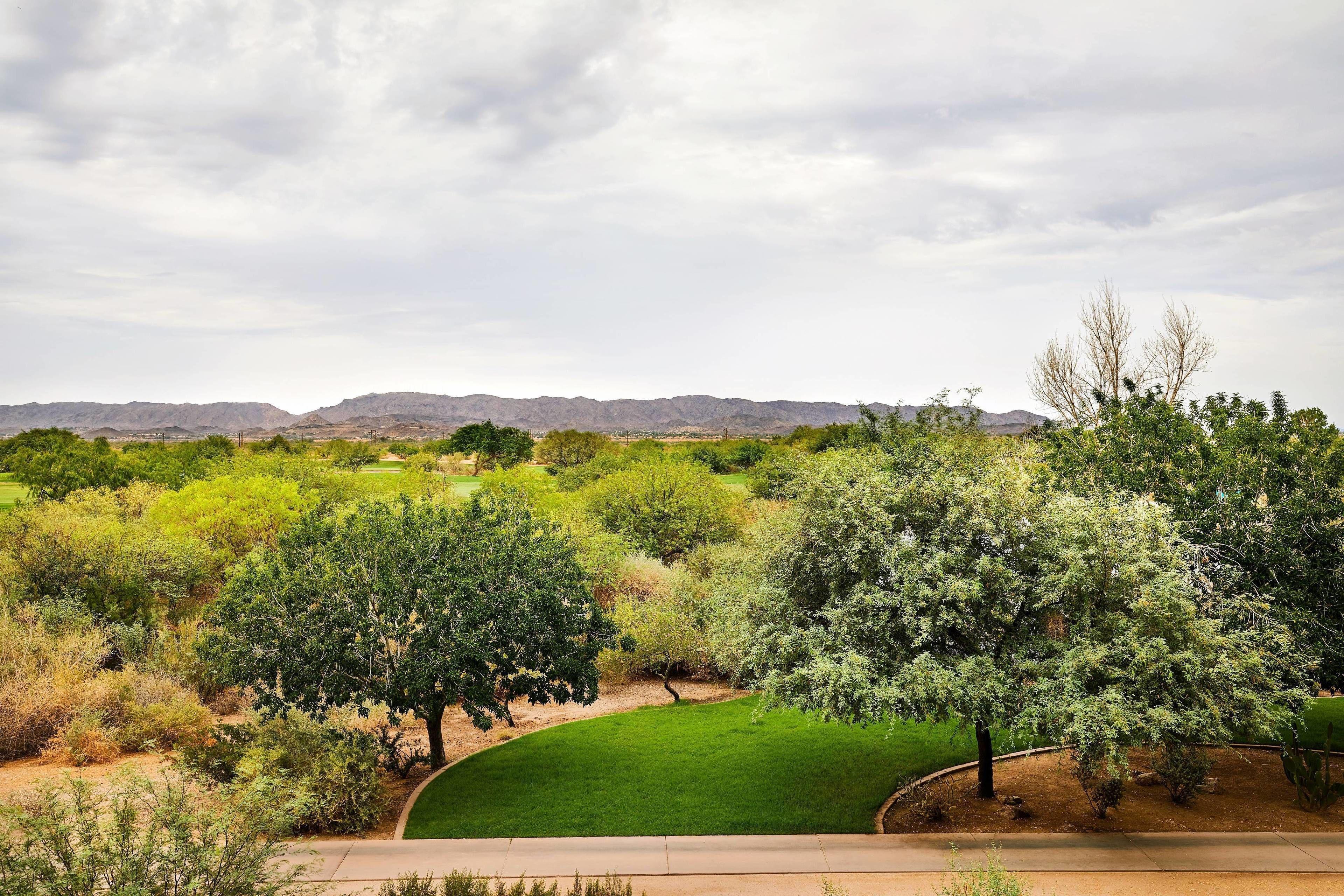 Superior Double Room Mountain View