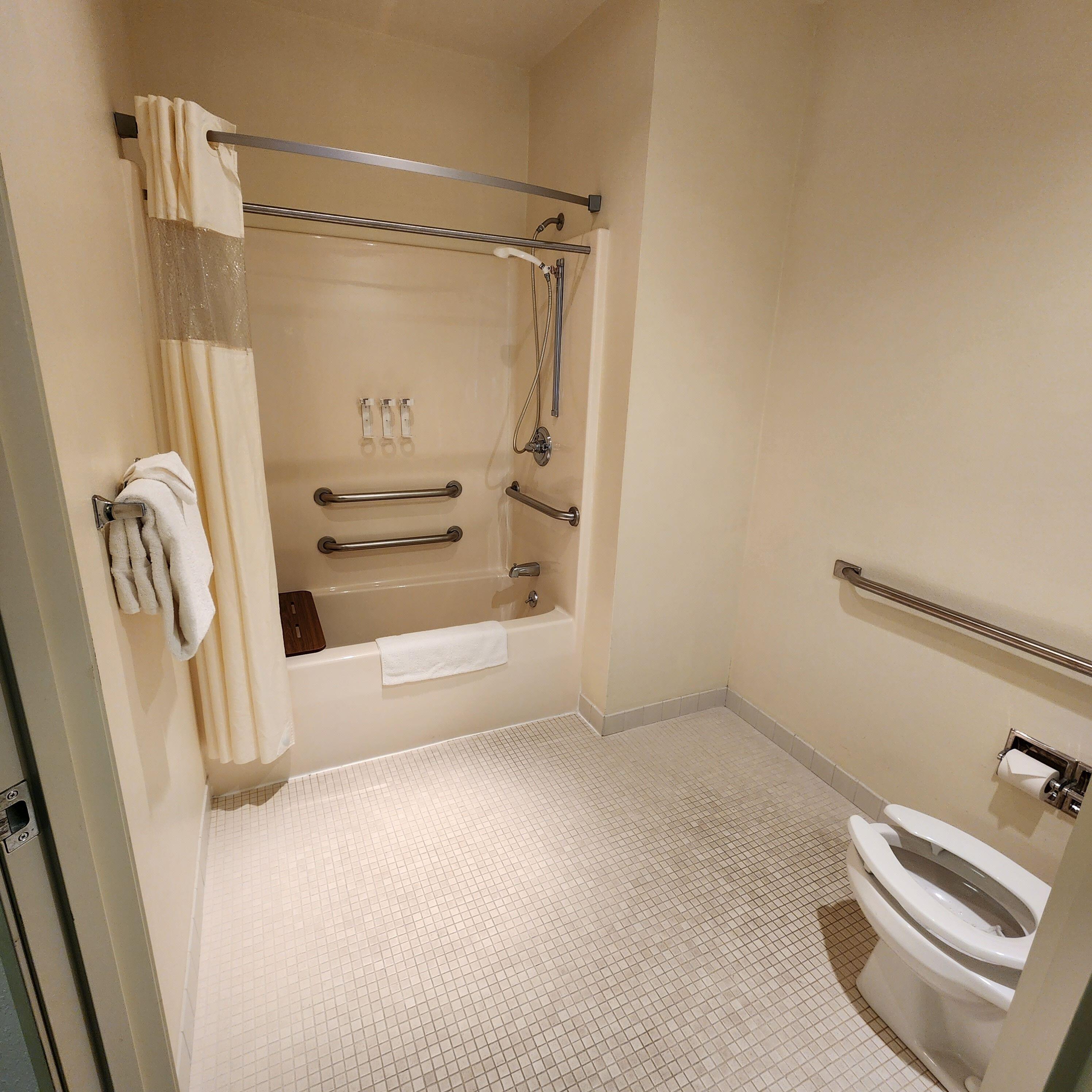 Queen Room Disability Access or Non-Smoking