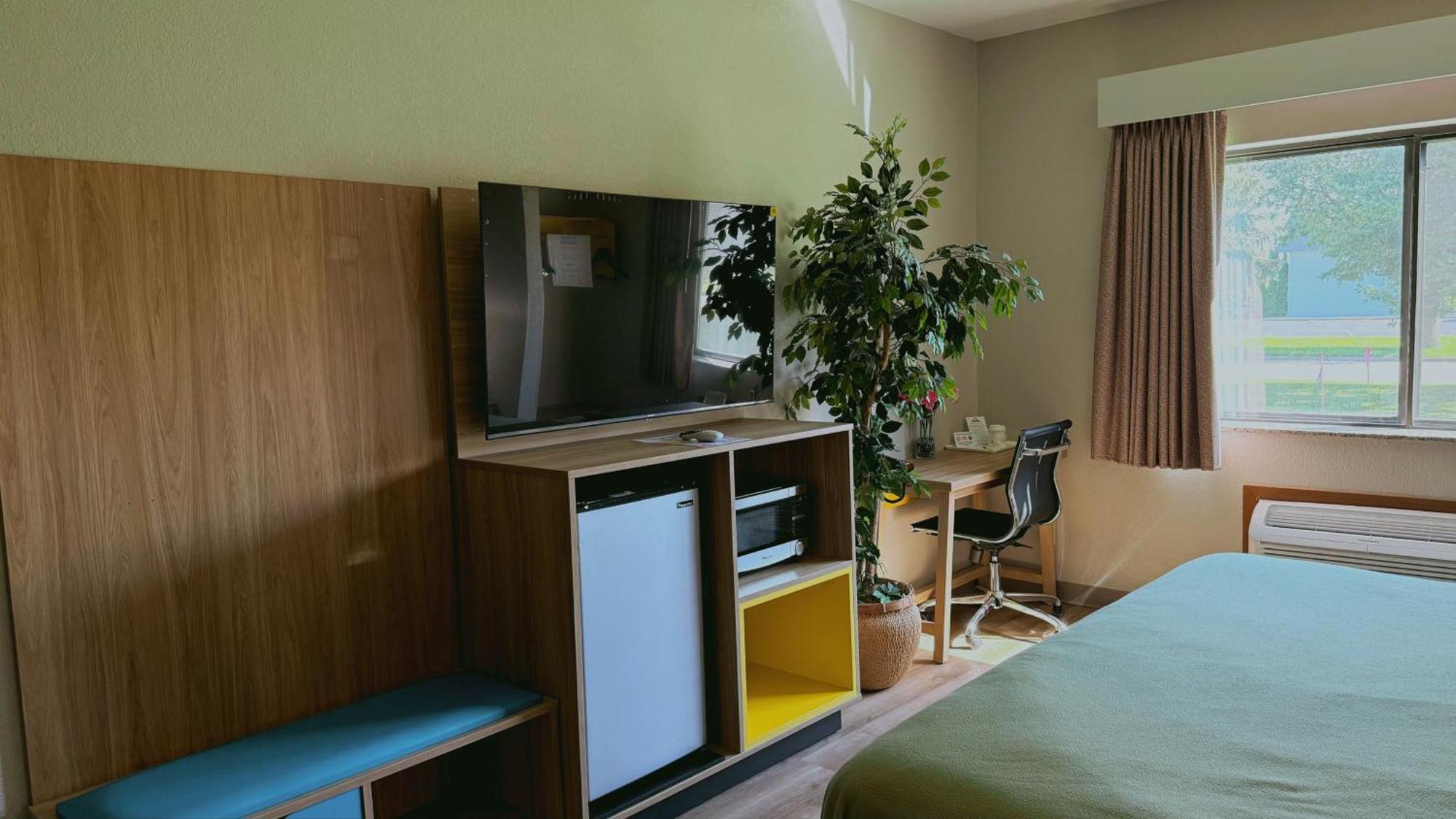 Deluxe King Studio Suite Non-Smoking