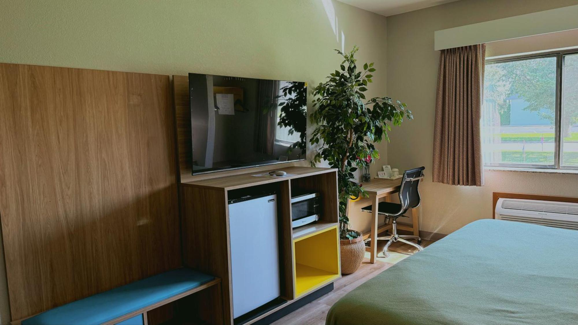 Deluxe King Studio Suite Non-Smoking