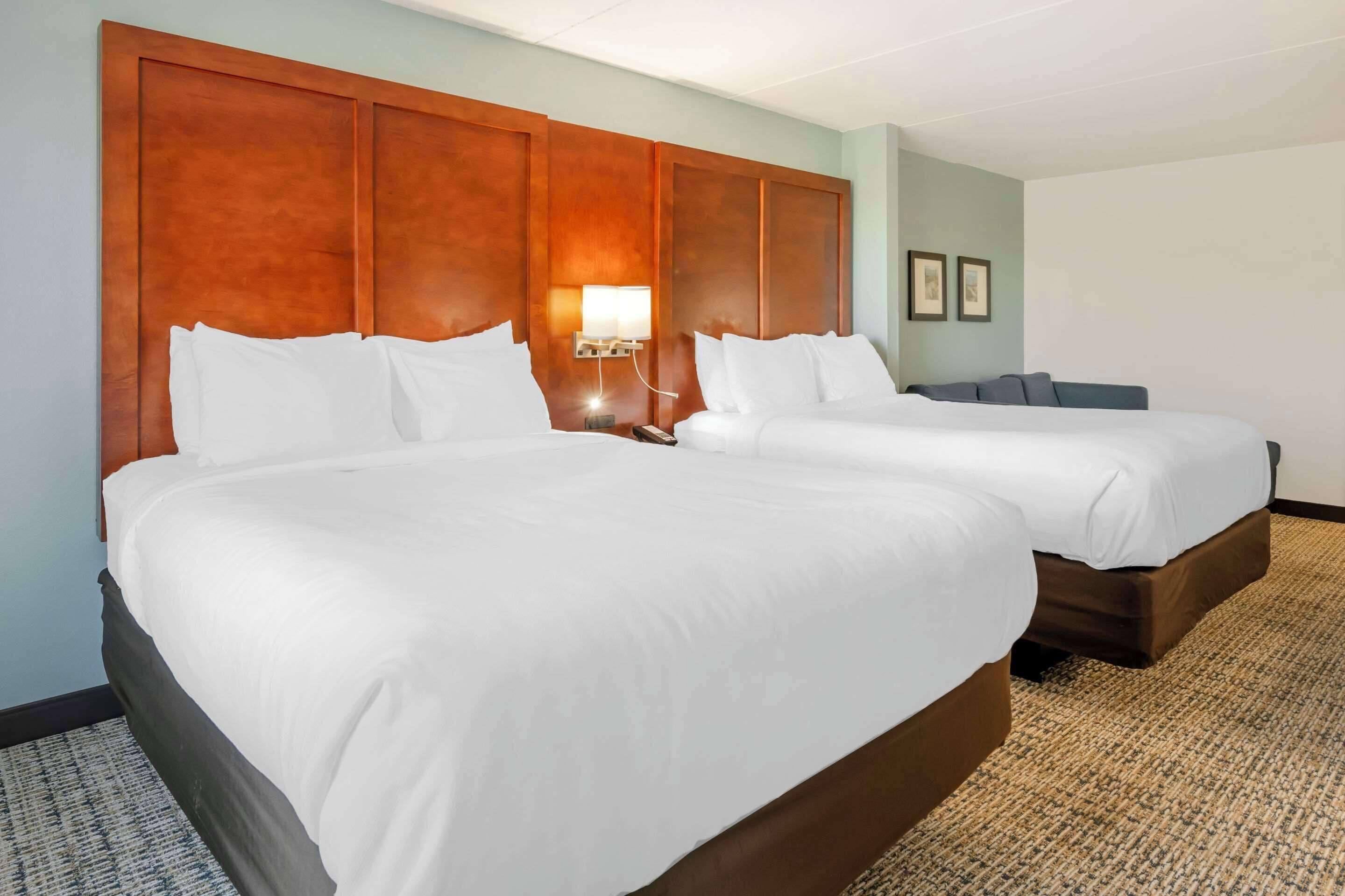Queen Suite One-Person Sofa Bed Non-Smoking or Accessible